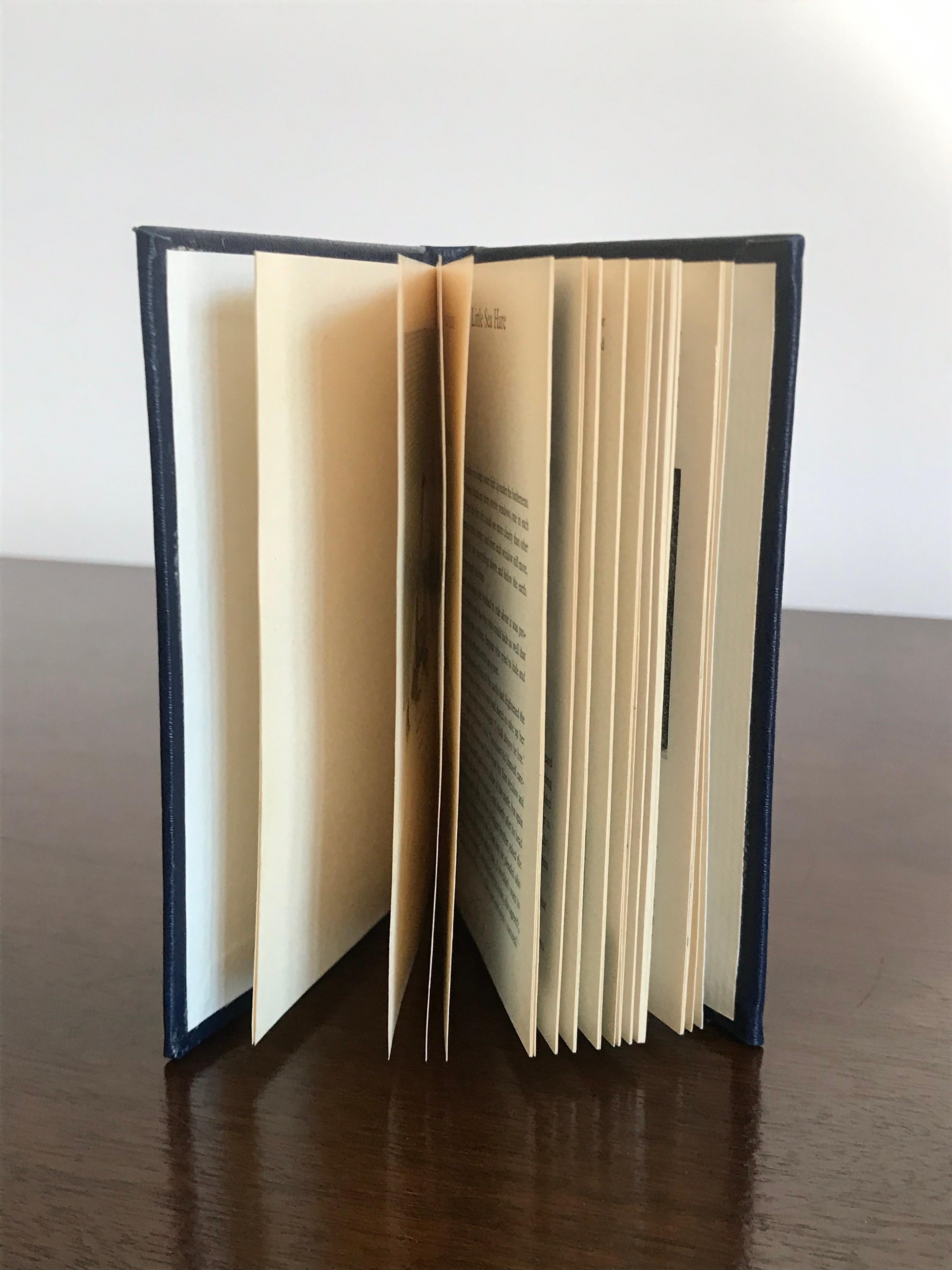david hockney coffee table book