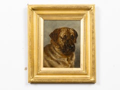 Signed English Mastiff Dog Portrait, Dated 1911 in Gilt Frame