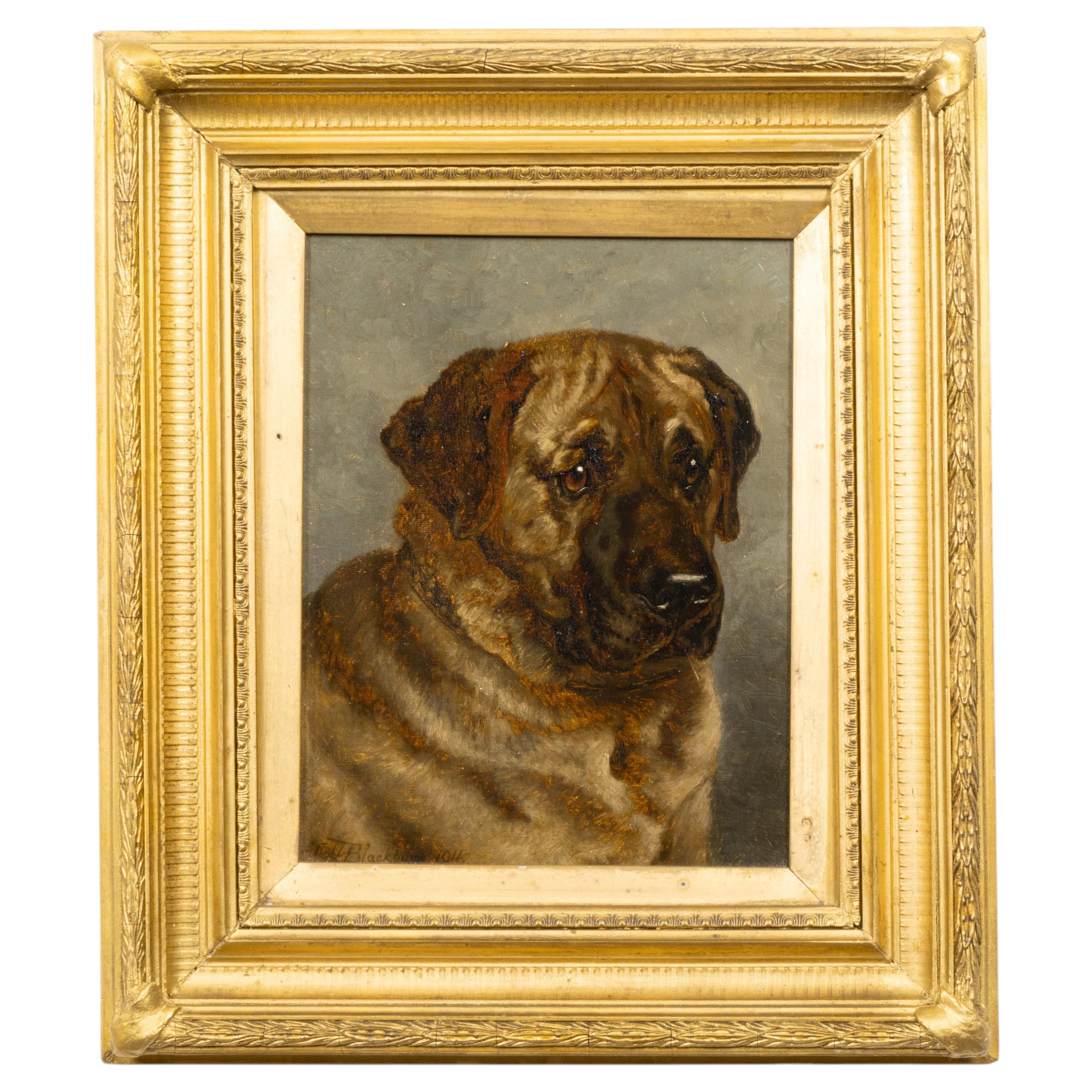 Signed English Mastiff Dog Portrait, Dated 1911 in Gilt Frame For Sale