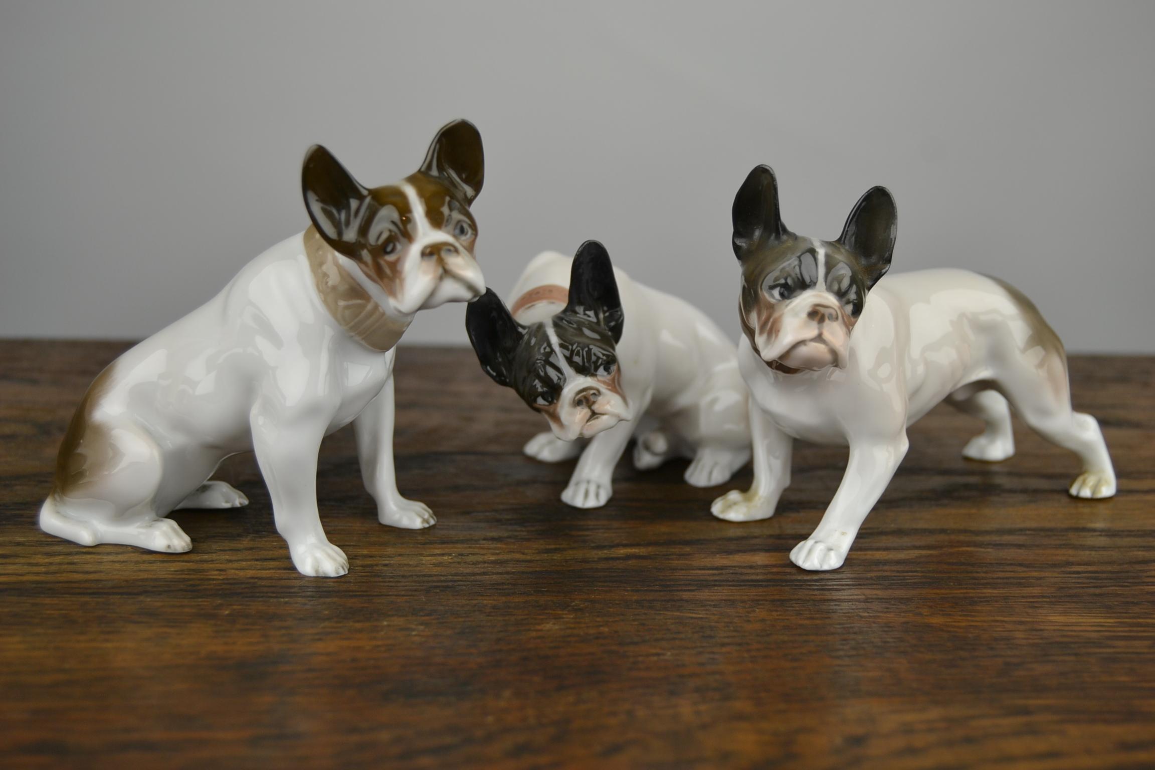 Seltene Skulptur einer französischen Bulldogge aus Porzellan:: signiert und entworfen von F. Diller. 
Diese Porzellan Hundeskulptur wurde von Rosenthal Selb Bayern Deutschland im frühen 20. Jahrhundert. Es ist eine antike Hundeskulptur. 
Ein