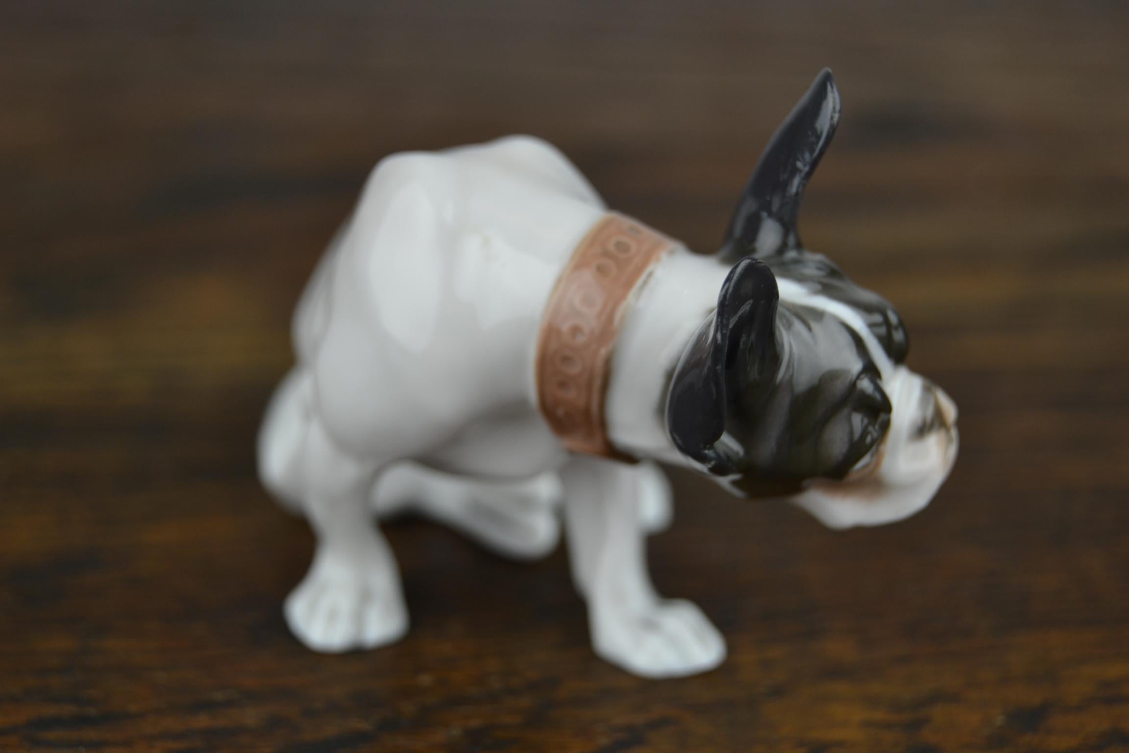F.Diller signiert Porzellan Französische Bulldogge von Rosenthal Selb Bavaria:: 1920er Jahre (Deutsch)
