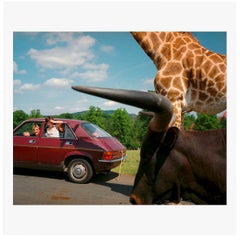 Stampa limitata firmata e incorniciata di Martin Parr, fotografia Magnum, 1990