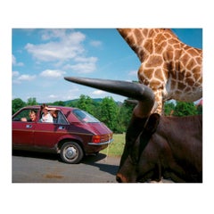 Signed & Framed Martin Parr Magnum Photographic Limited Print, 1990