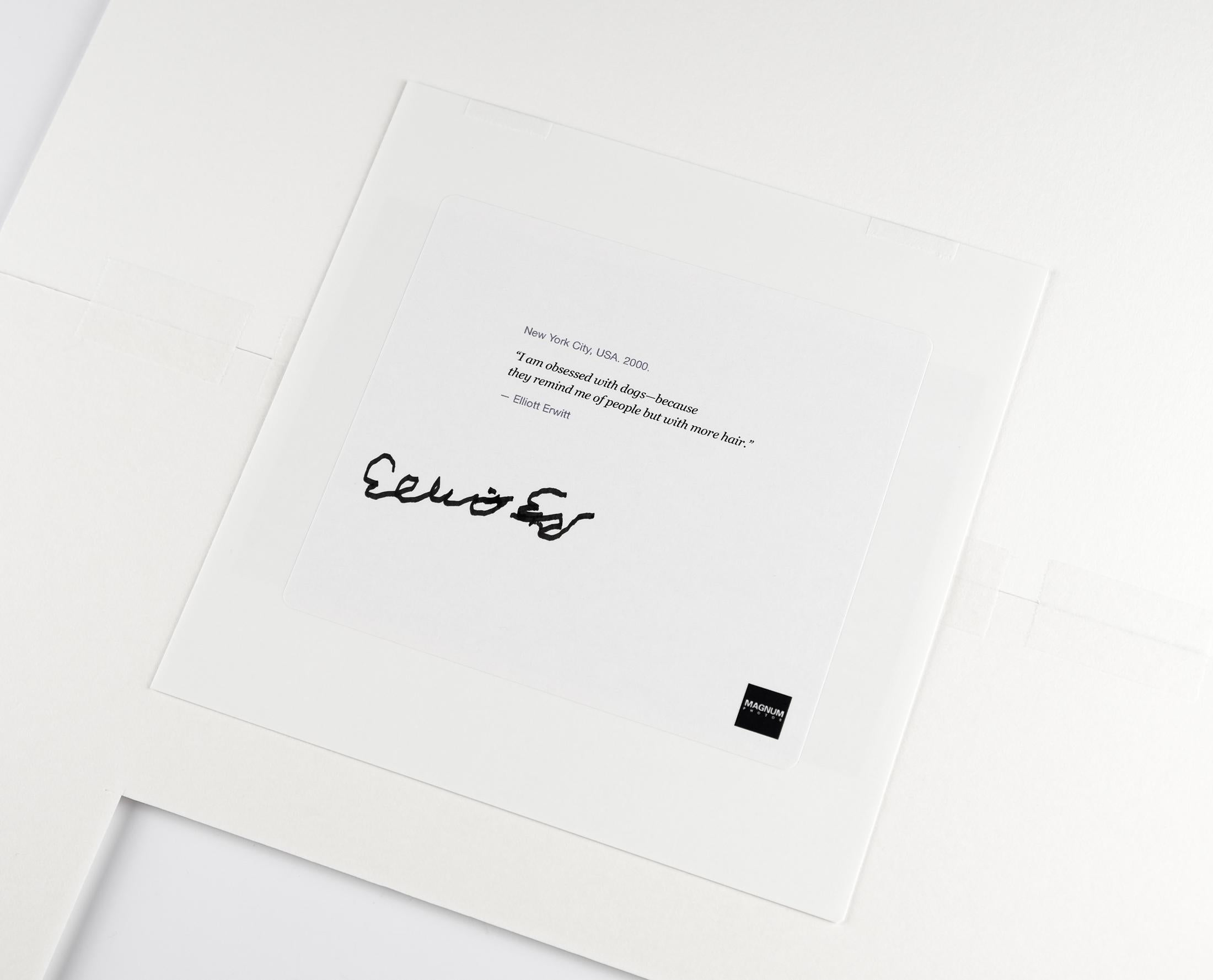Signierter und gerahmter Original Elliot Erwitt Magnum-Druck, 2000 im Zustand „Hervorragend“ im Angebot in London, GB