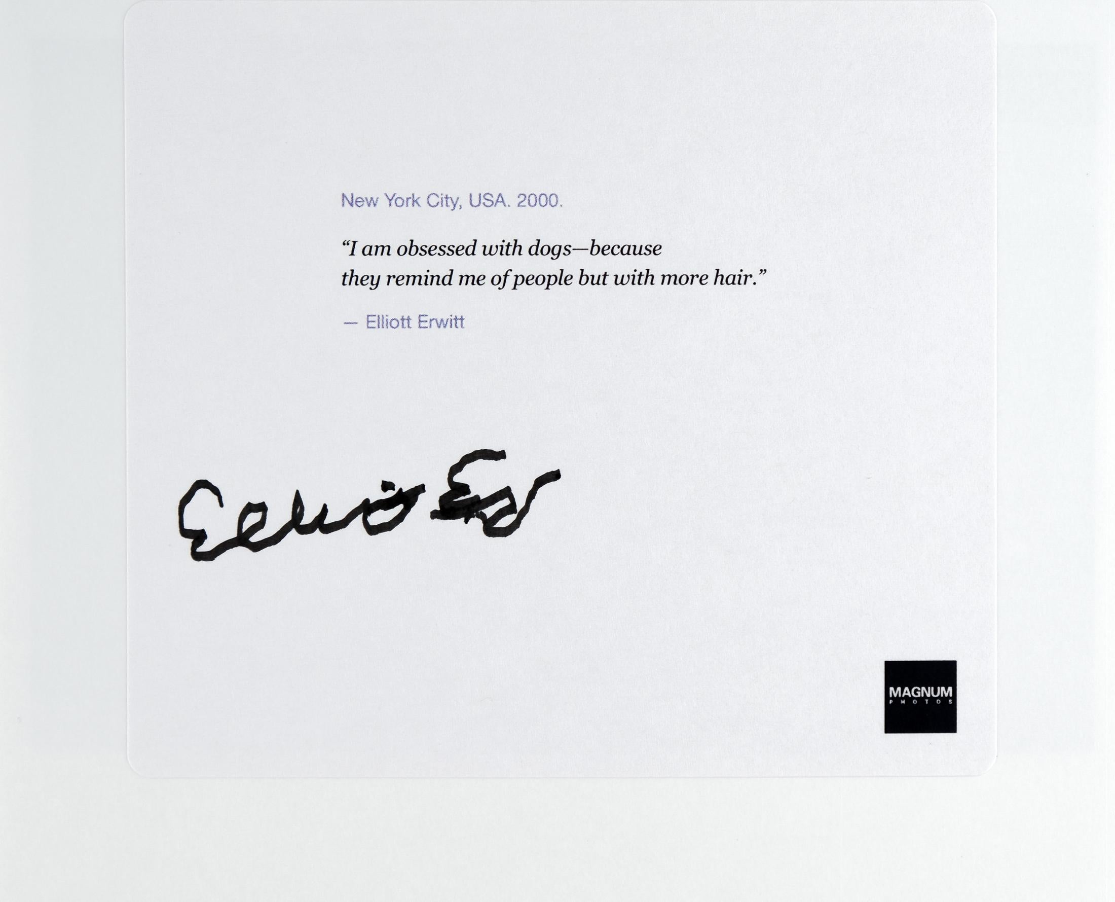 Signierter und gerahmter Original Elliot Erwitt Magnum-Druck, 2000 (Ende des 20. Jahrhunderts) im Angebot