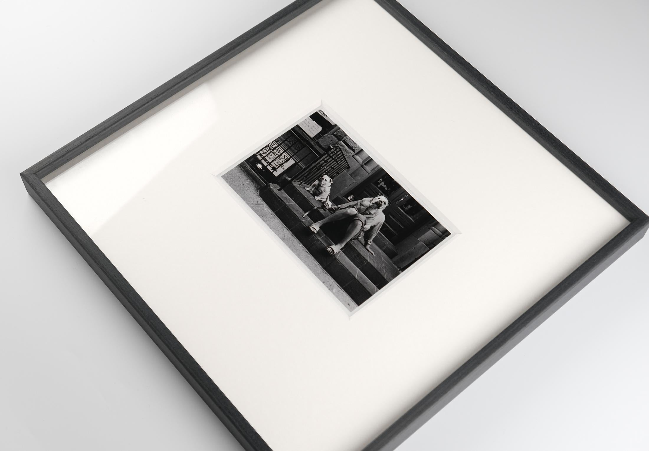 Signierter und gerahmter Original Elliot Erwitt Magnum-Druck, 2000 im Angebot 2