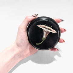 Signed Italian Silver Mounted Pietra Dura Paperweight with Flower by G. Fiaschi