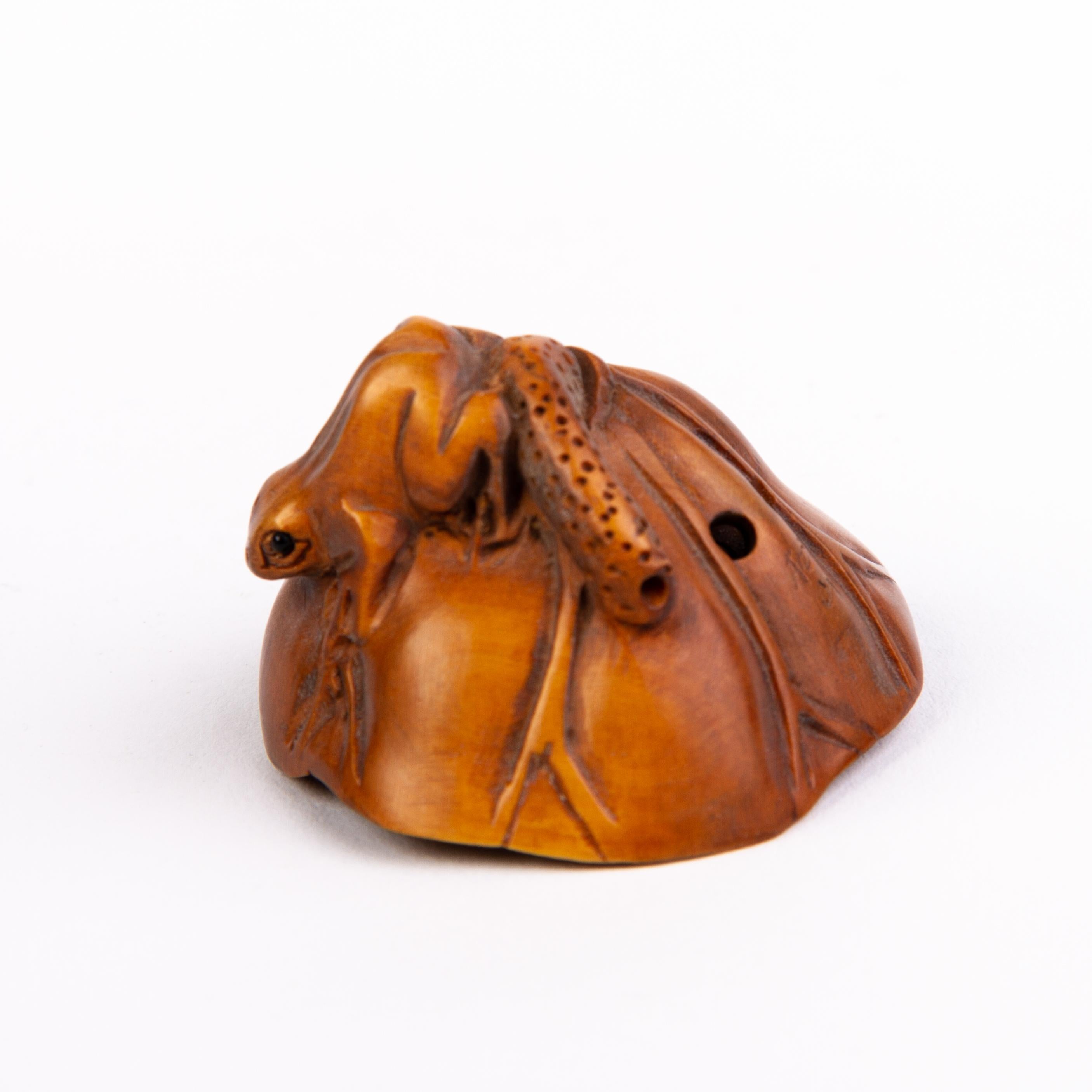 20th Century Signed Japanese Boxwood Netsuke Inro of a Tree Frog  For Sale