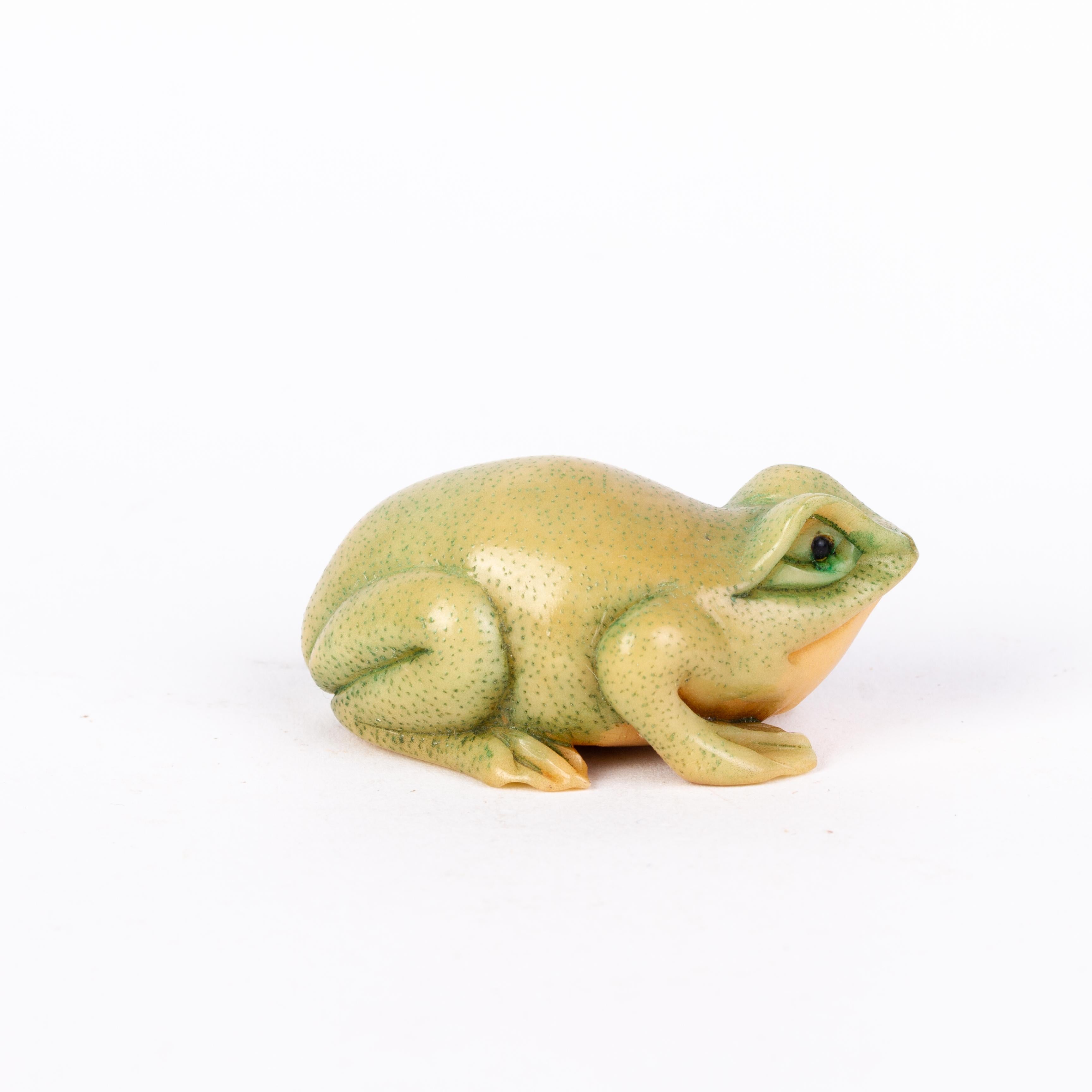 ceramic frogs with genitalia