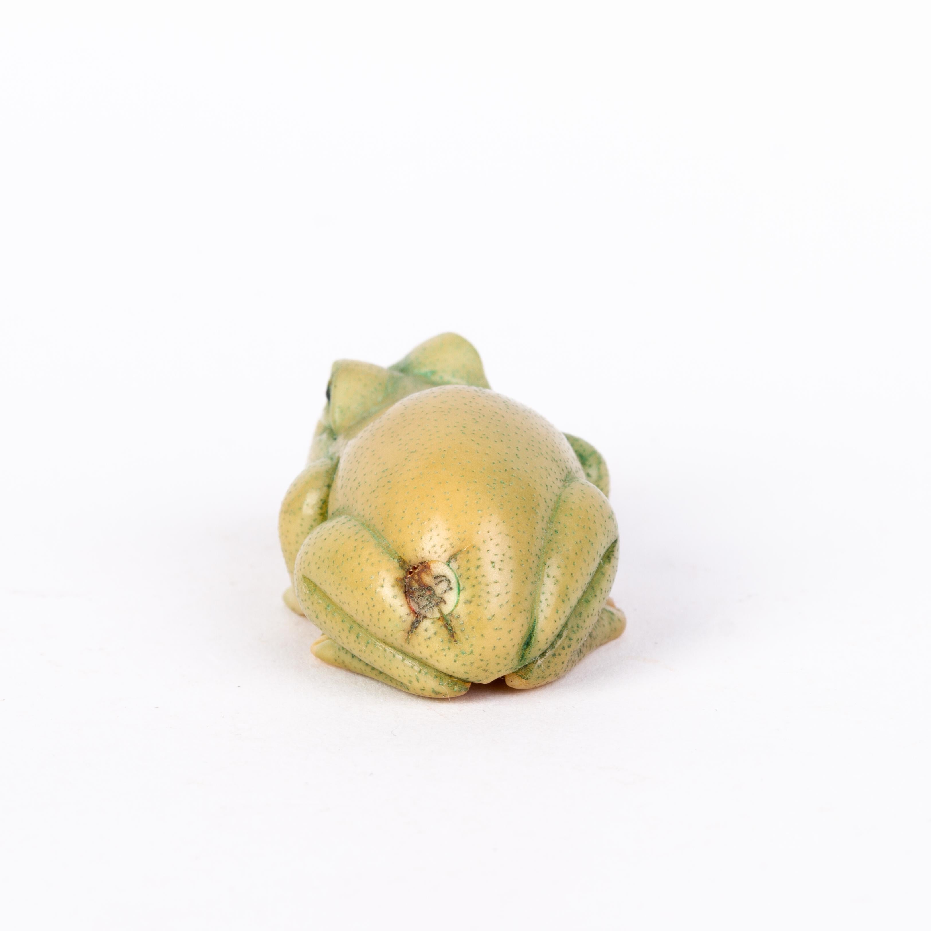 ceramic frog with genitalia