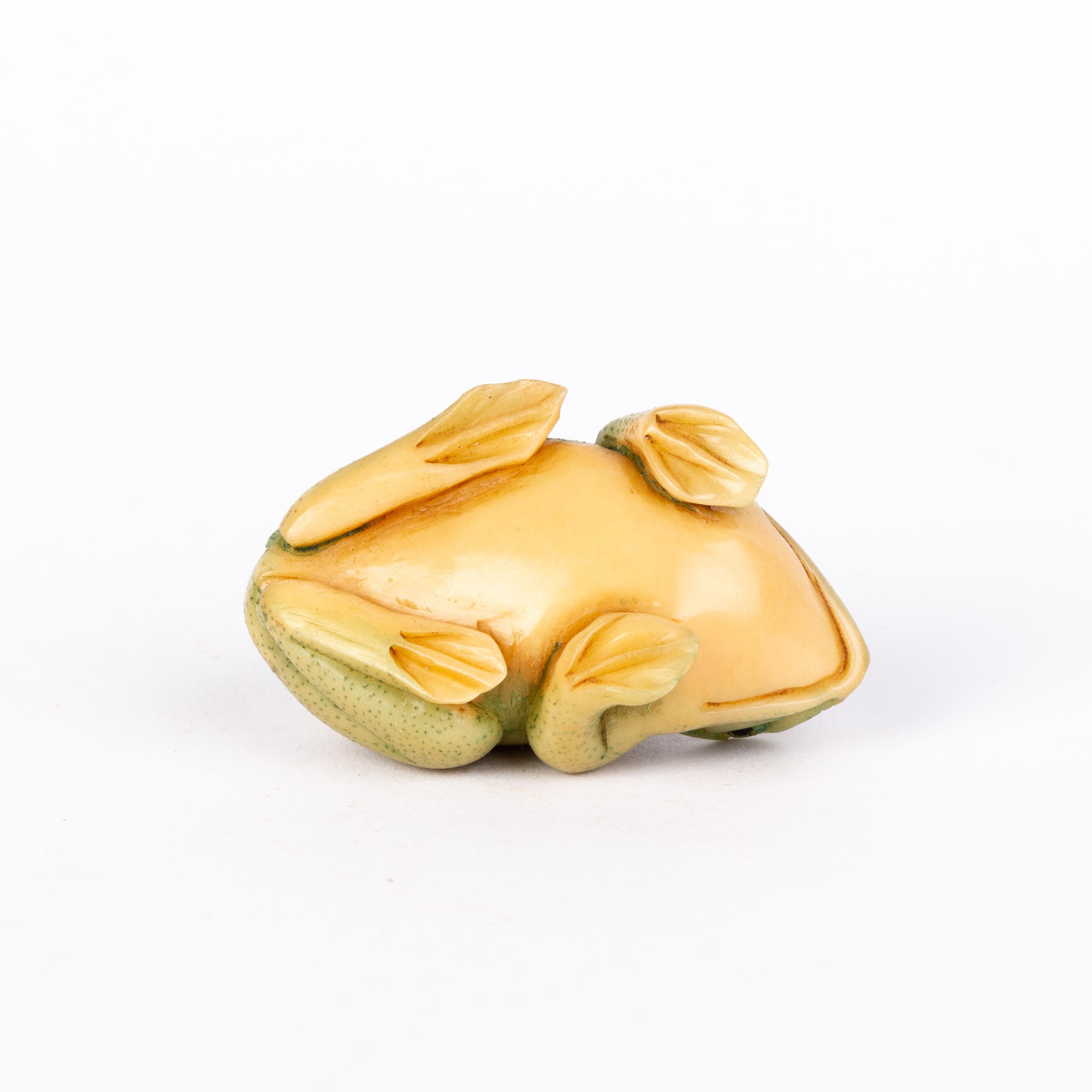 Hand-Carved Signed Japanese Carved Tagua Nut Frog Netsuke Inro Ojime For Sale