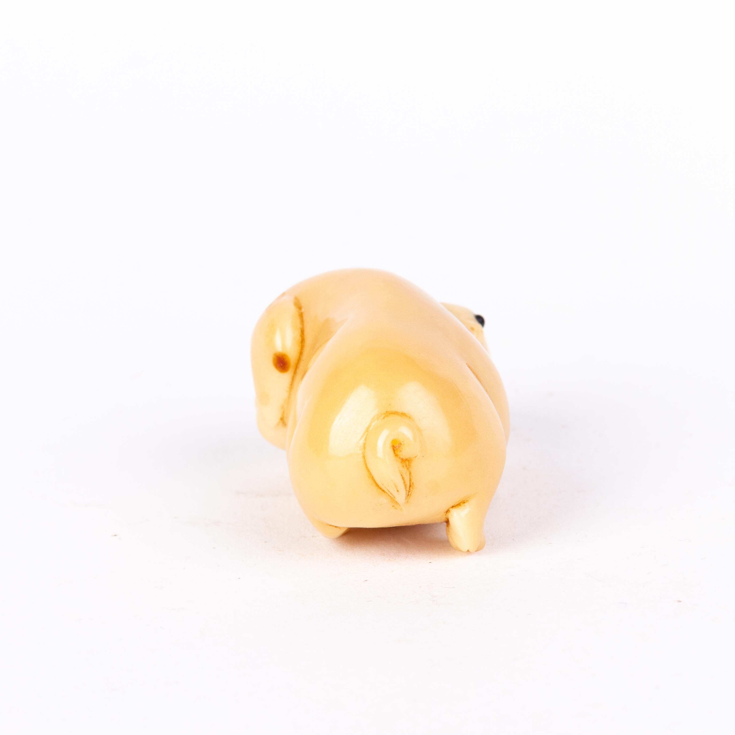 Signed Japanese Carved Tagua Nut Pig Netsuke Inro Ojime In Good Condition For Sale In Nottingham, GB