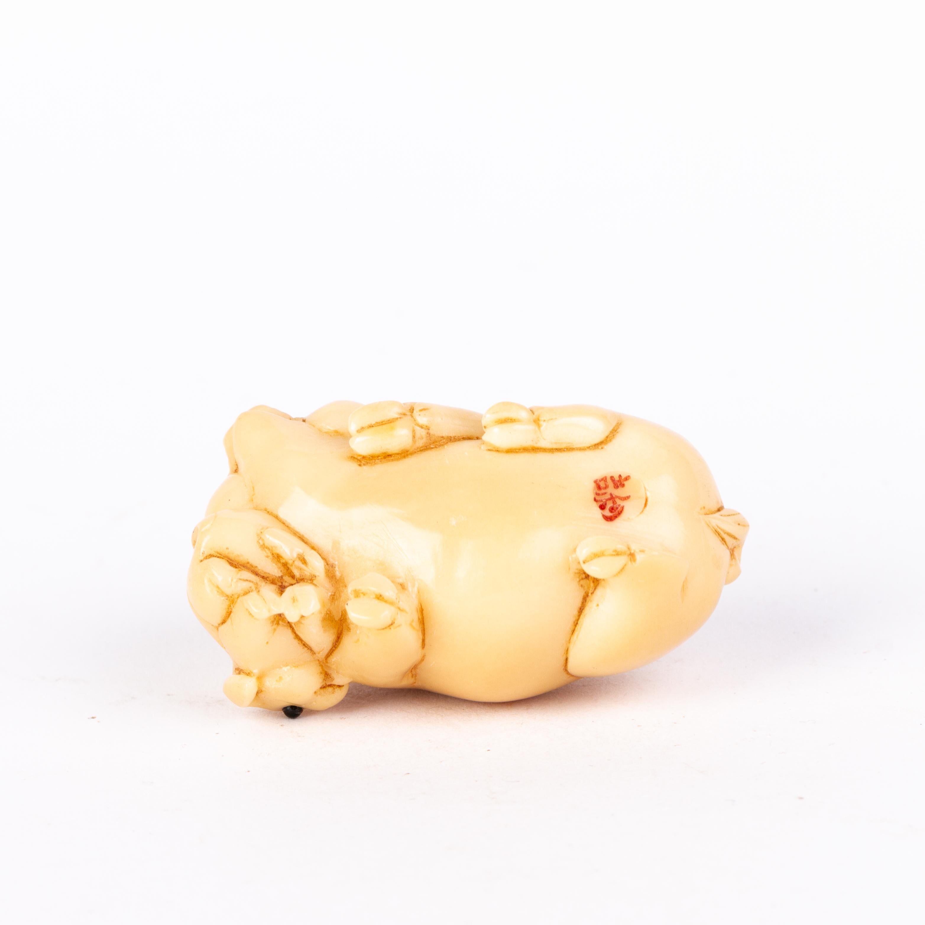 20th Century Signed Japanese Carved Tagua Nut Pig Netsuke Inro Ojime For Sale