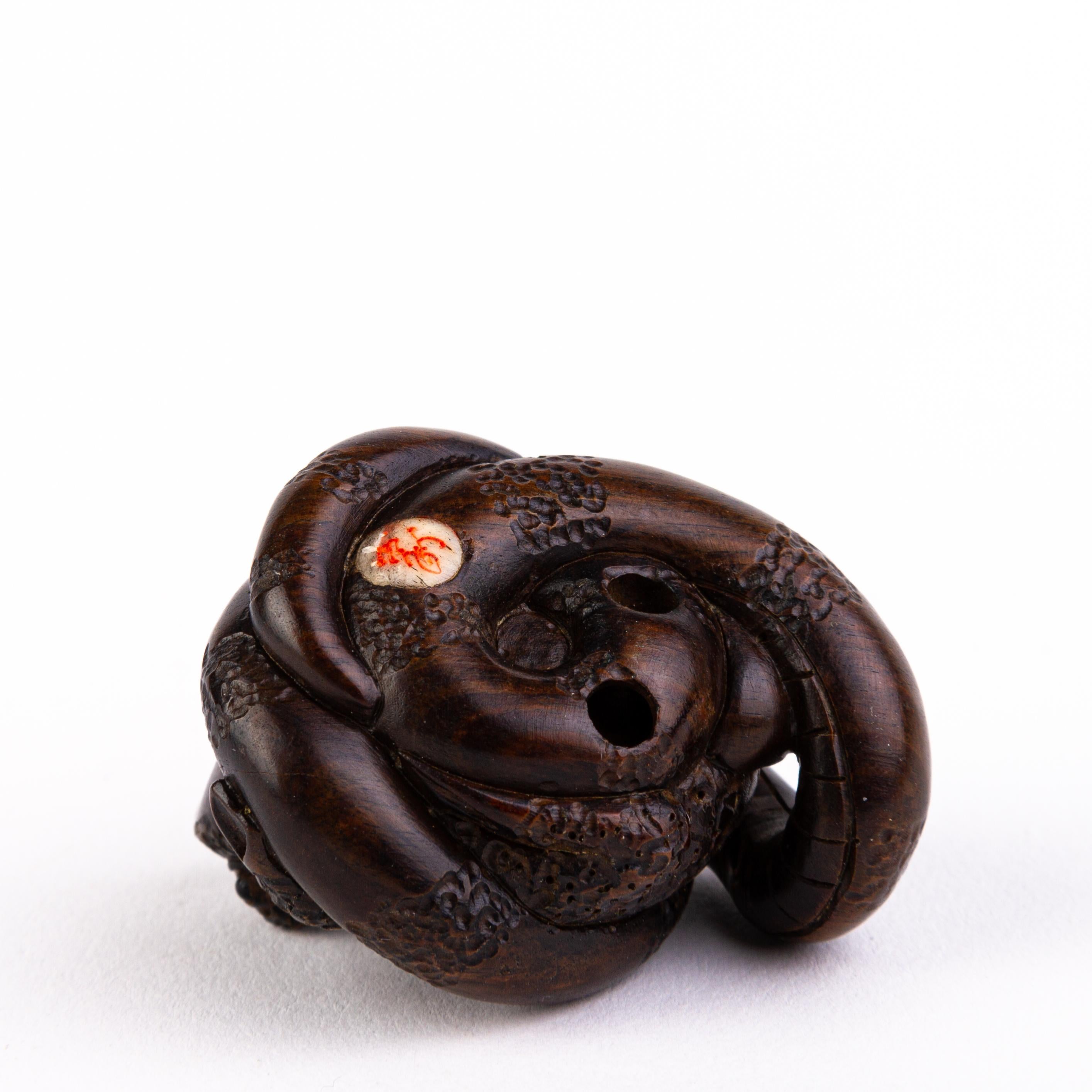 Boxwood Signed Japanese Dark Wood Netsuke of Snake Trapping Toad For Sale