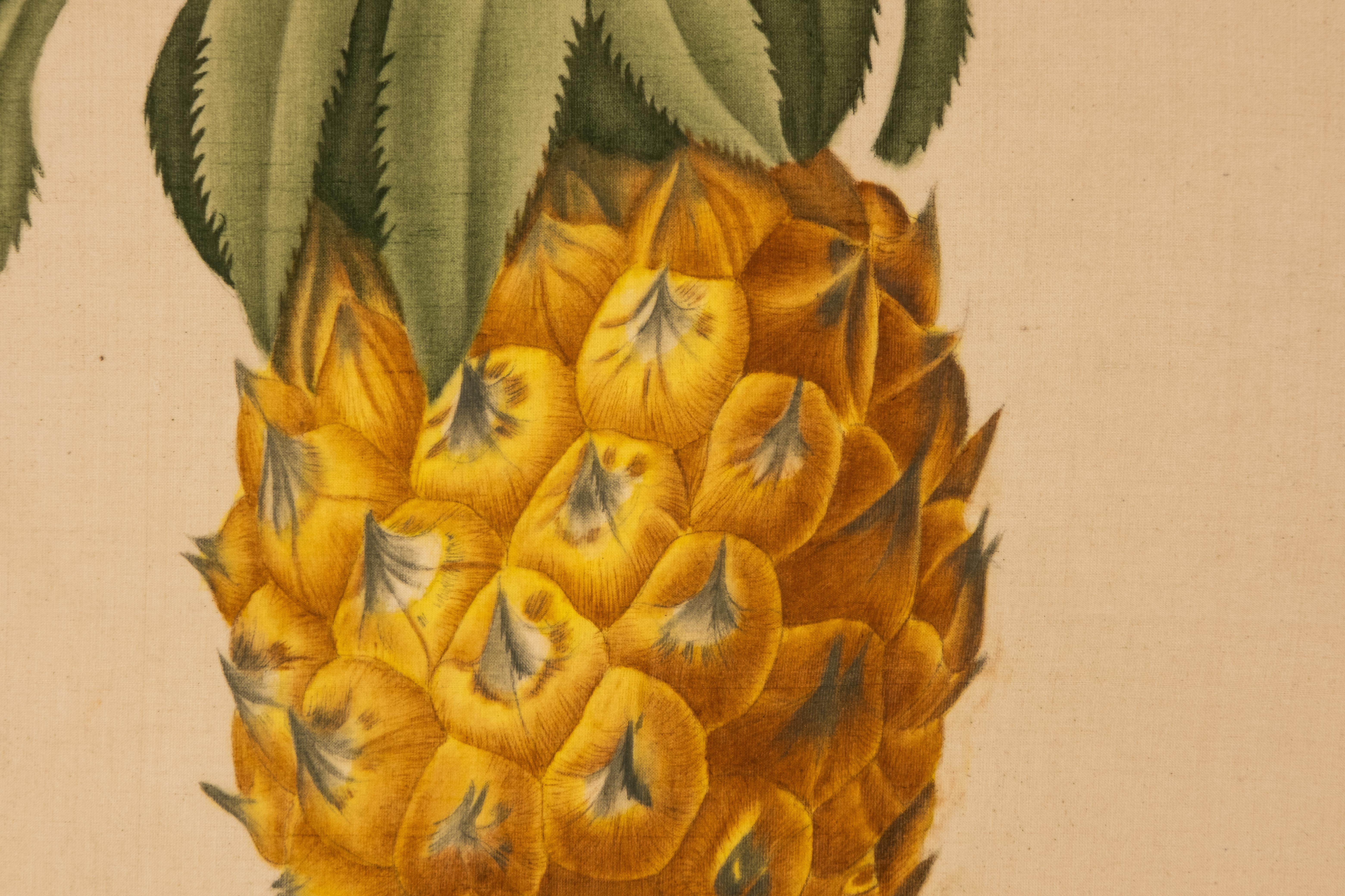 Signed L.R Laffitte Watercolor, Bromelia Ananas In Good Condition For Sale In Hudson, NY