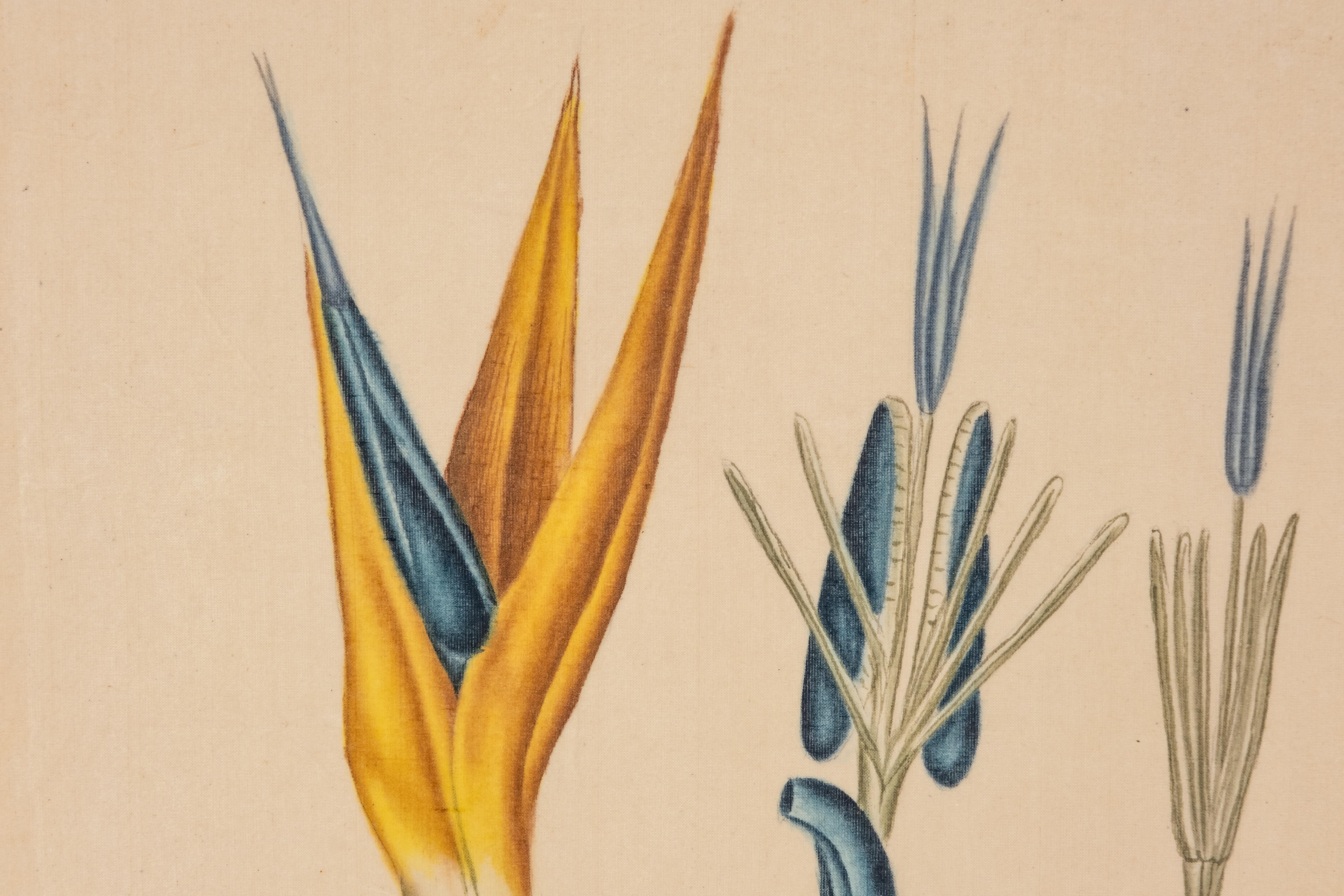 20th Century Signed L.R Laffitte Watercolor on Paper of Strelitzia Reginae on Silk Mounted on