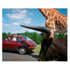Stampa firmata Martin Parr Magnum "Knowsley Safari Park, Inghilterra", 1990