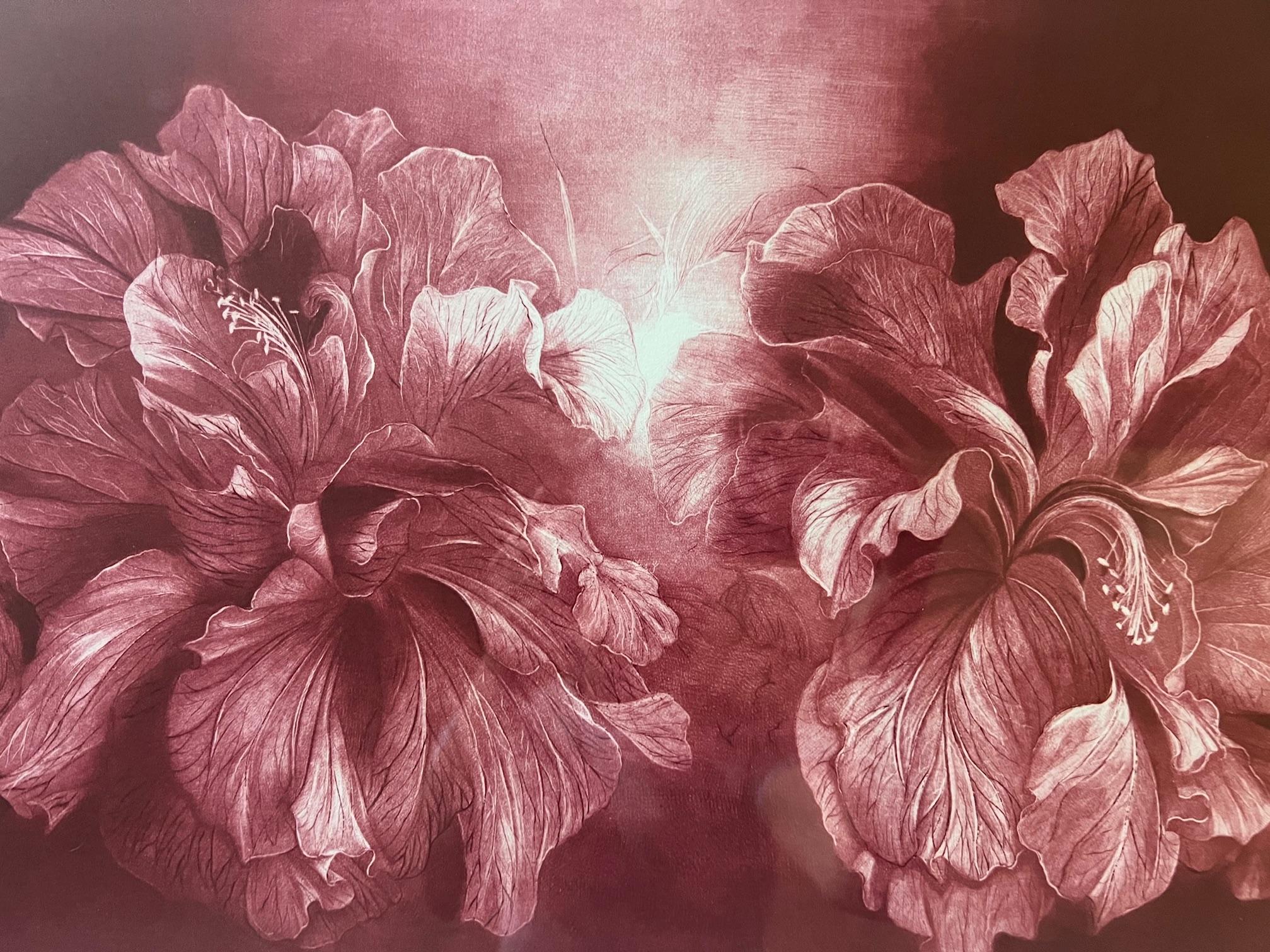 Signed Mezzoting by G.H. Rothe, Titled Hibiscus For Sale 3