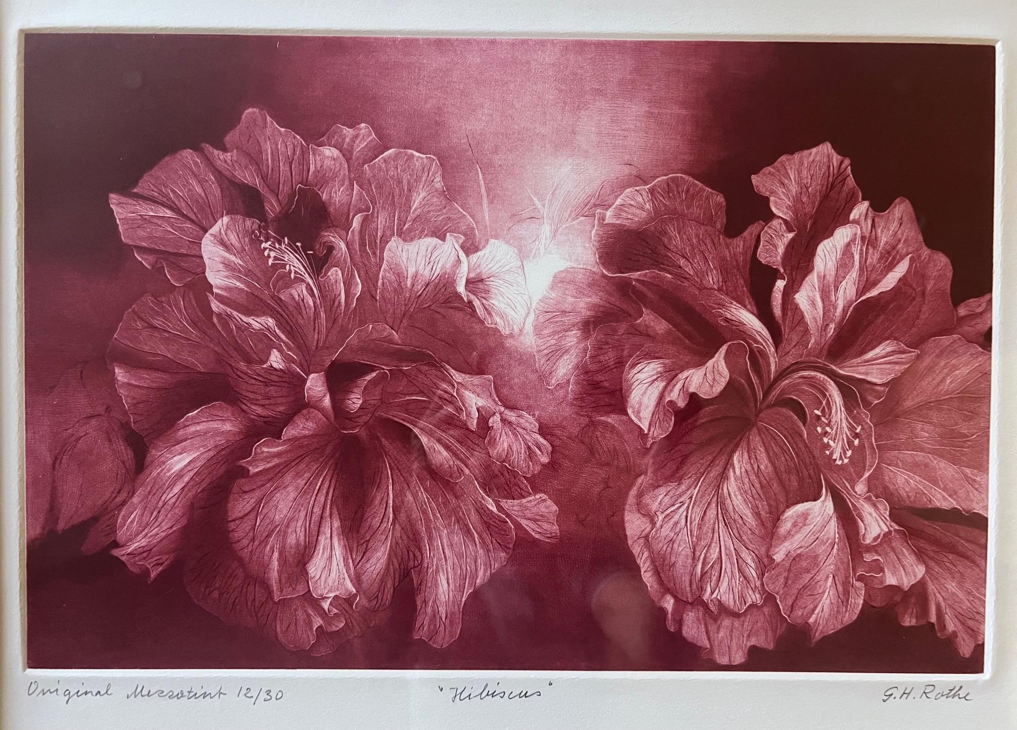 Signed Mezzoting by G.H. Rothe, Titled Hibiscus For Sale 4