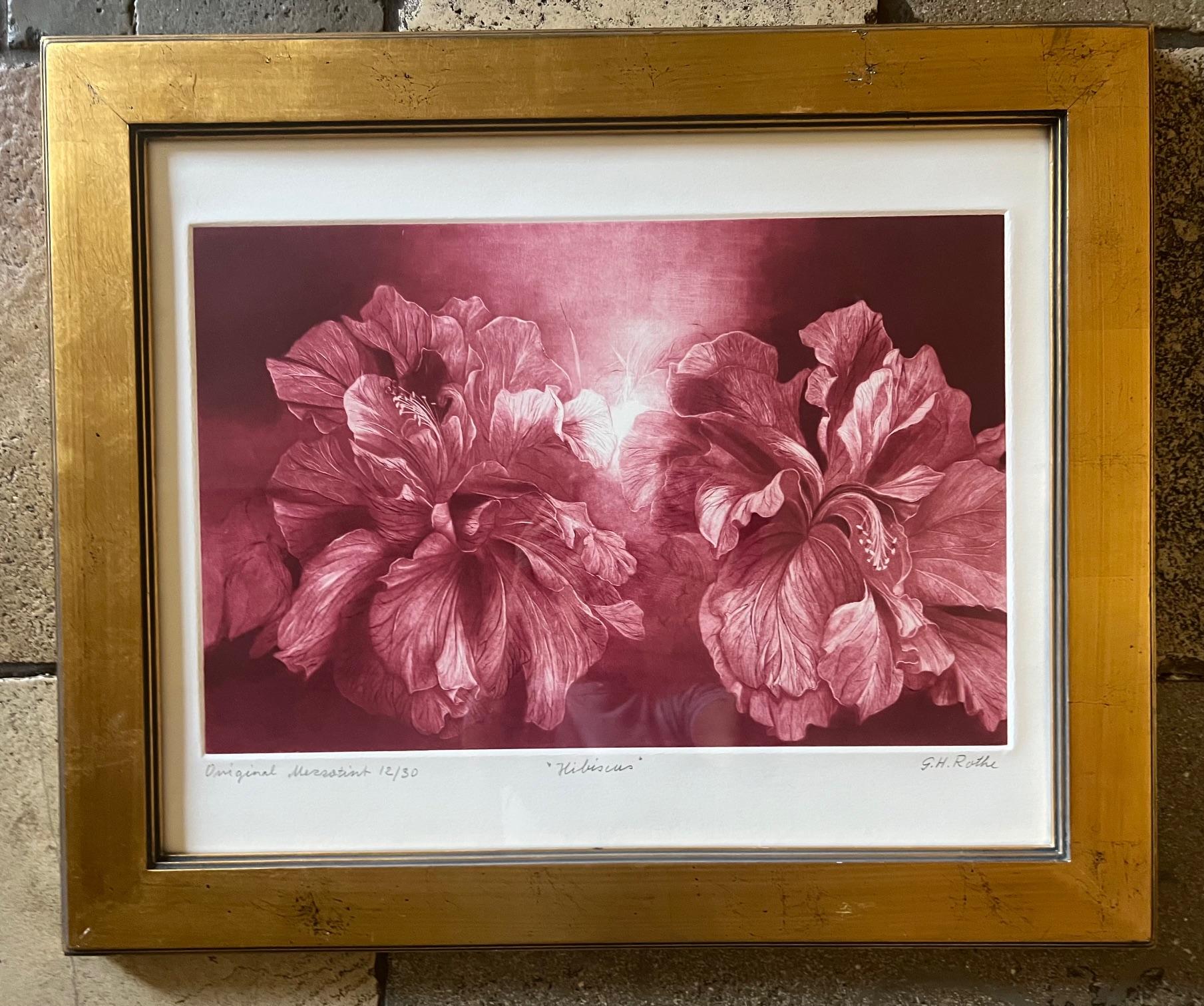 American Signed Mezzoting by G.H. Rothe, Titled Hibiscus For Sale
