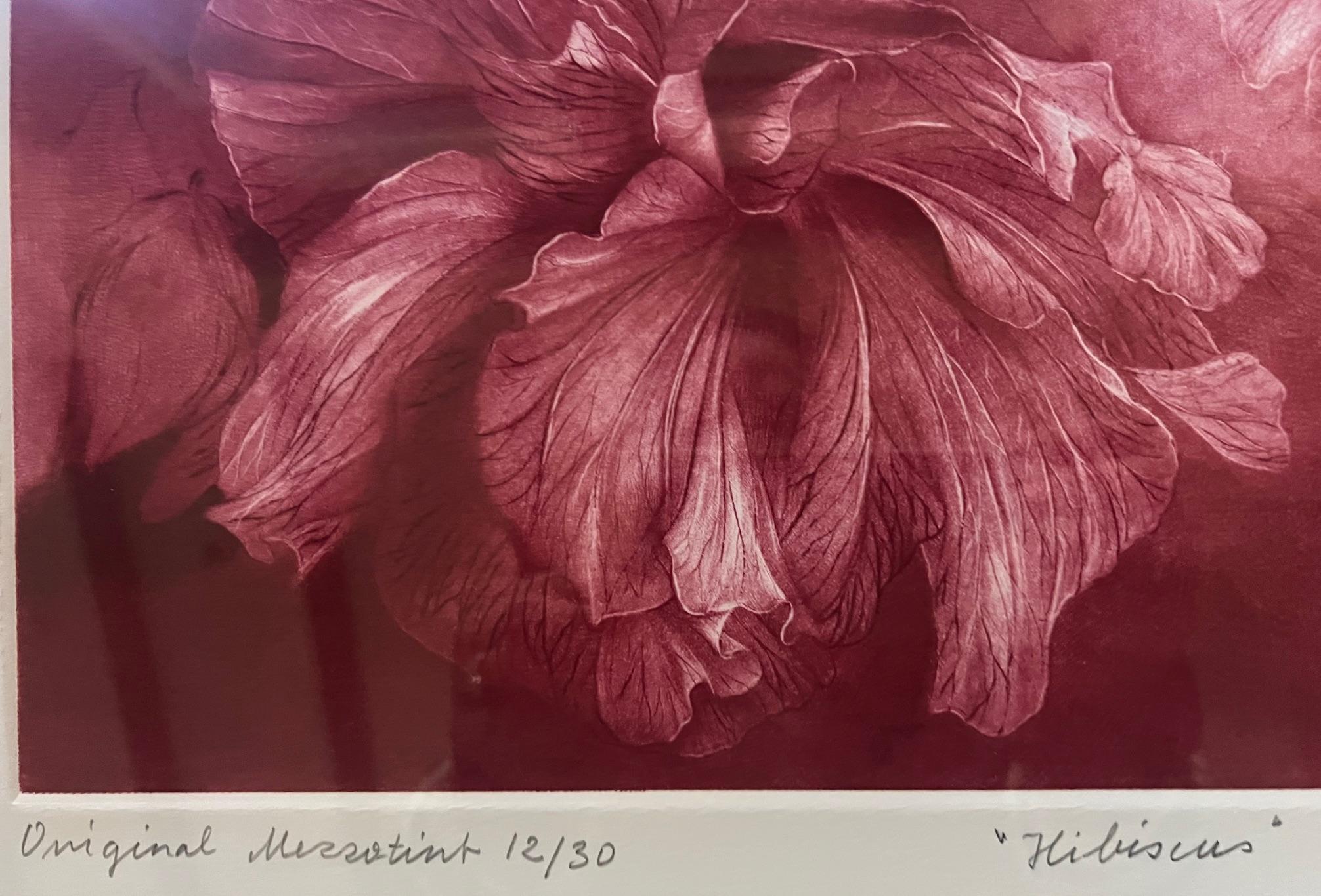 Signed Mezzoting by G.H. Rothe, Titled Hibiscus In Good Condition For Sale In Ross, CA