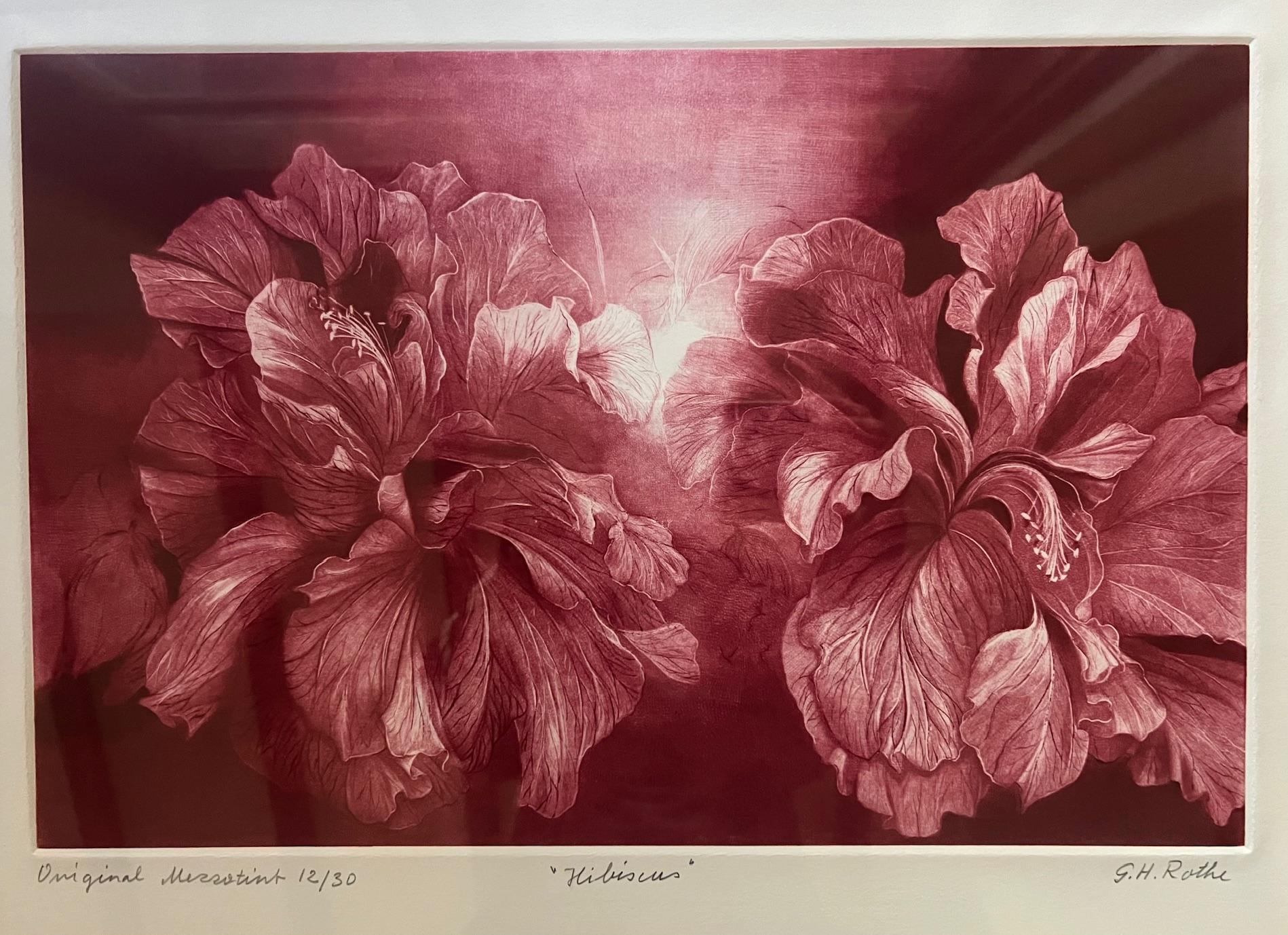 Late 20th Century Signed Mezzoting by G.H. Rothe, Titled Hibiscus For Sale