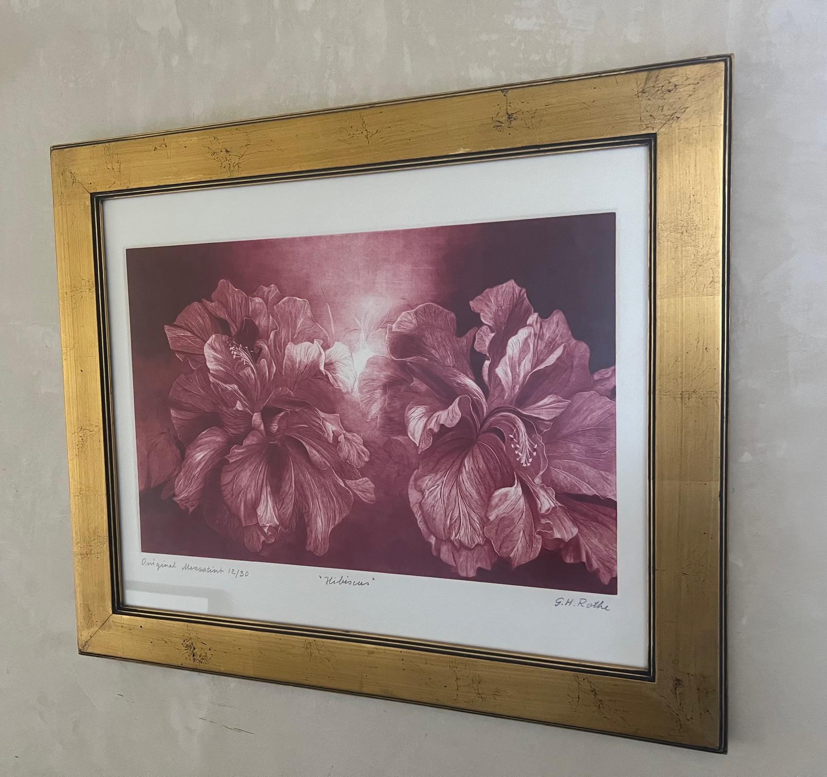 Paper Signed Mezzoting by G.H. Rothe, Titled Hibiscus For Sale