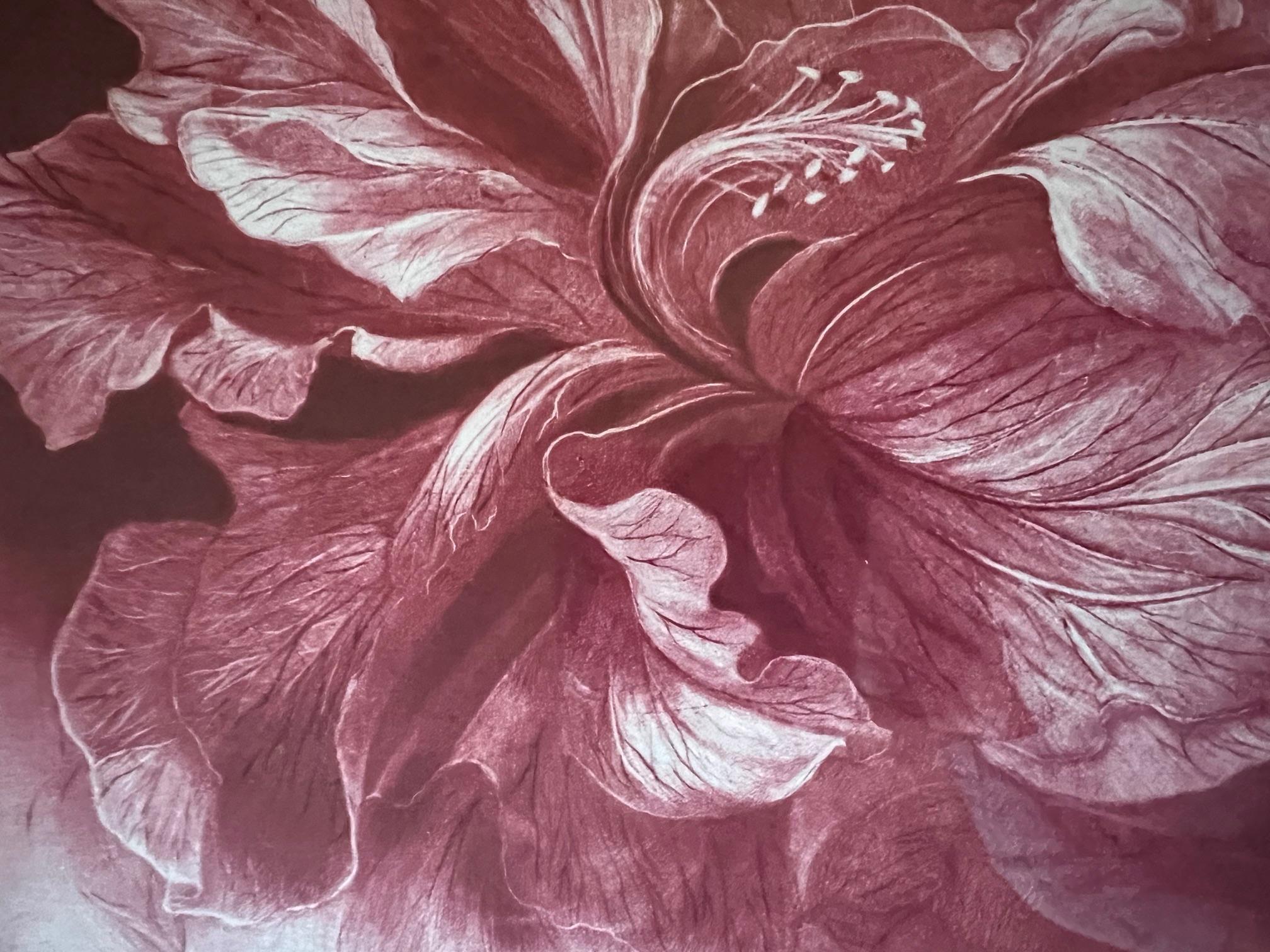 Signed Mezzoting by G.H. Rothe, Titled Hibiscus For Sale 1