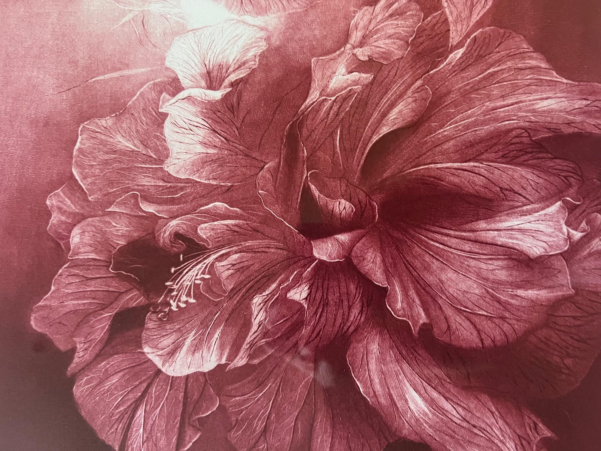 Signed Mezzoting by G.H. Rothe, Titled Hibiscus For Sale 2