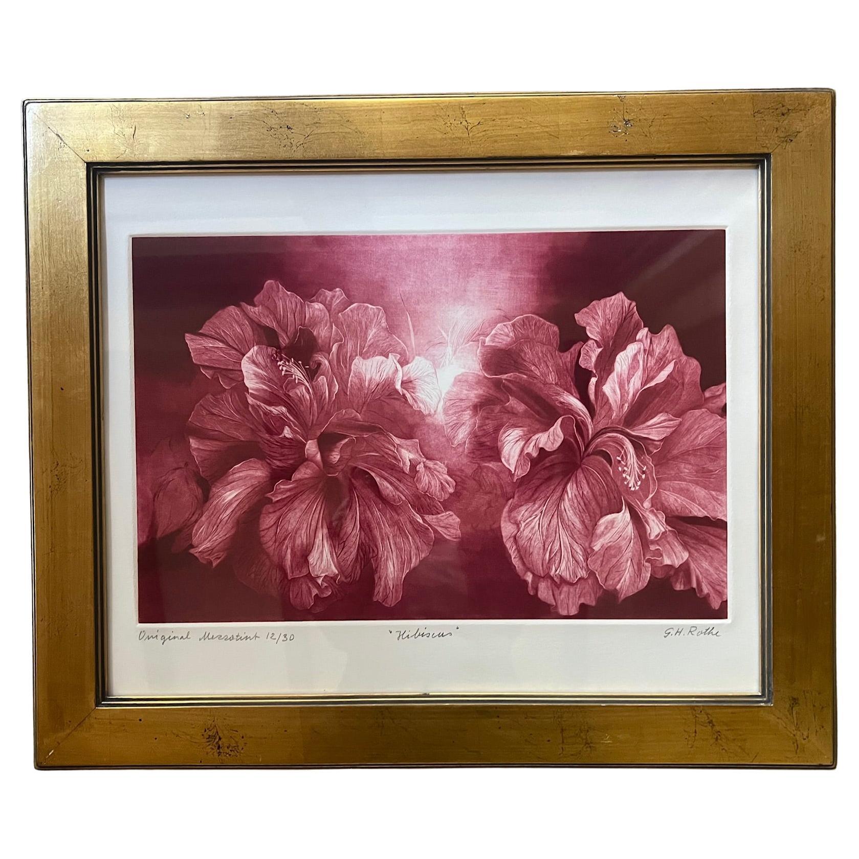 Signed Mezzoting by G.H. Rothe, Titled Hibiscus