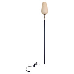 Lampadaire signé du milieu du siècle dernier par Arredoluce, 1950