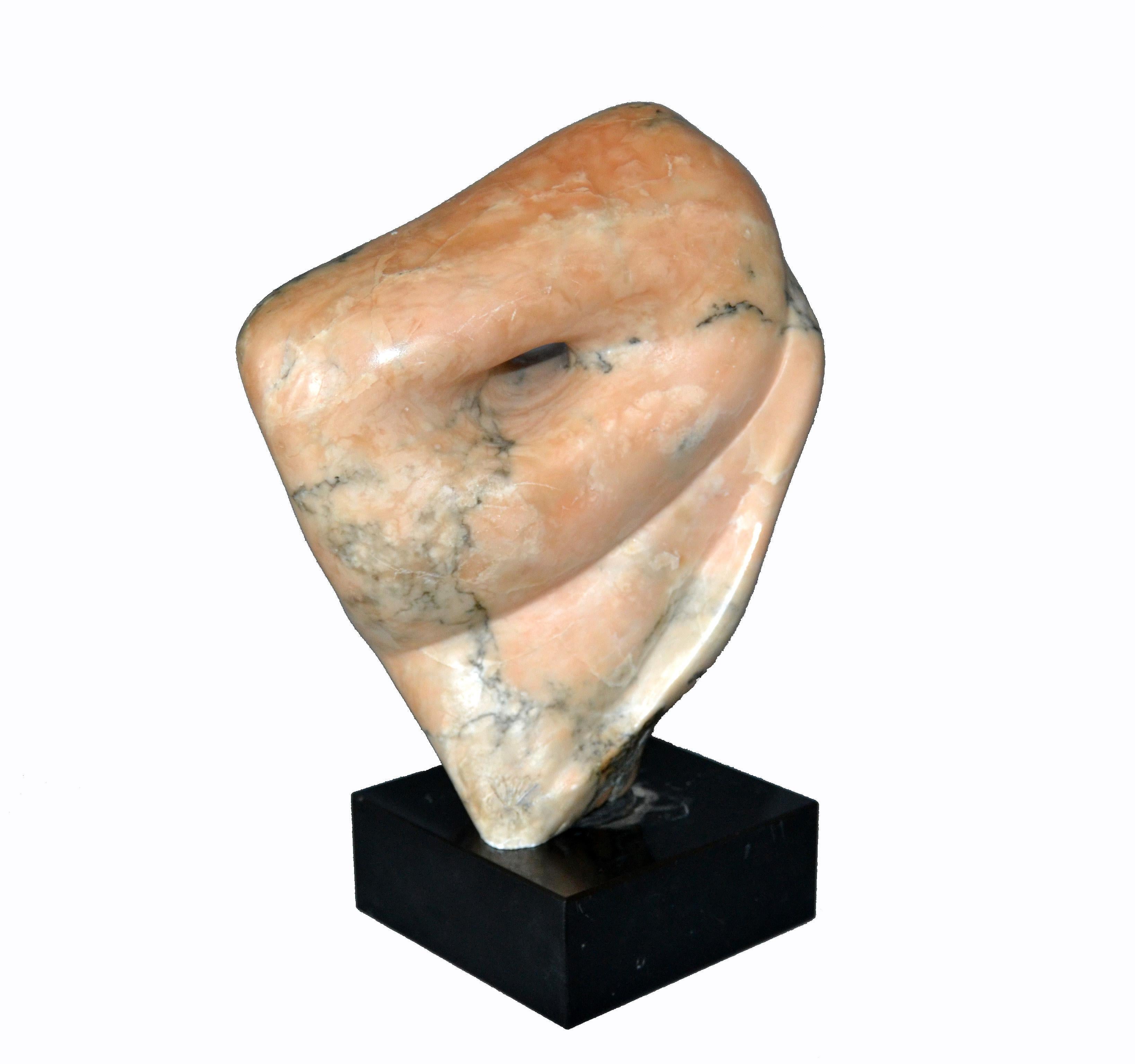 Midcentury signed abstract marble sculpture by Shapiro mounted on a black marble base.
Note the stunning natural grain pattern of the marble and the biomorphic shapes.
Artist mark at the bottom of the sculpture.