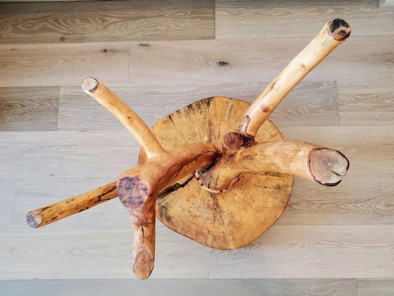 Tree Slice Side Table Signed Natural Live Edge Tree Slice Side Table For Sale at 1stDibs ...