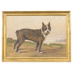 Signed P. A. Schwartz Oil Painting of a Boston Terrier Dog, circa 1900