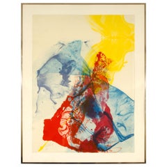 Signierte und nummerierte Lithographie von Paul Jenkins:: 1969