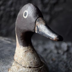 Signed Pintail English Hand Carved Decoy, circa 1900