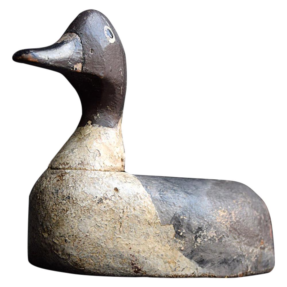 Signed Pintail English Hand Carved Decoy, circa 1900 For Sale