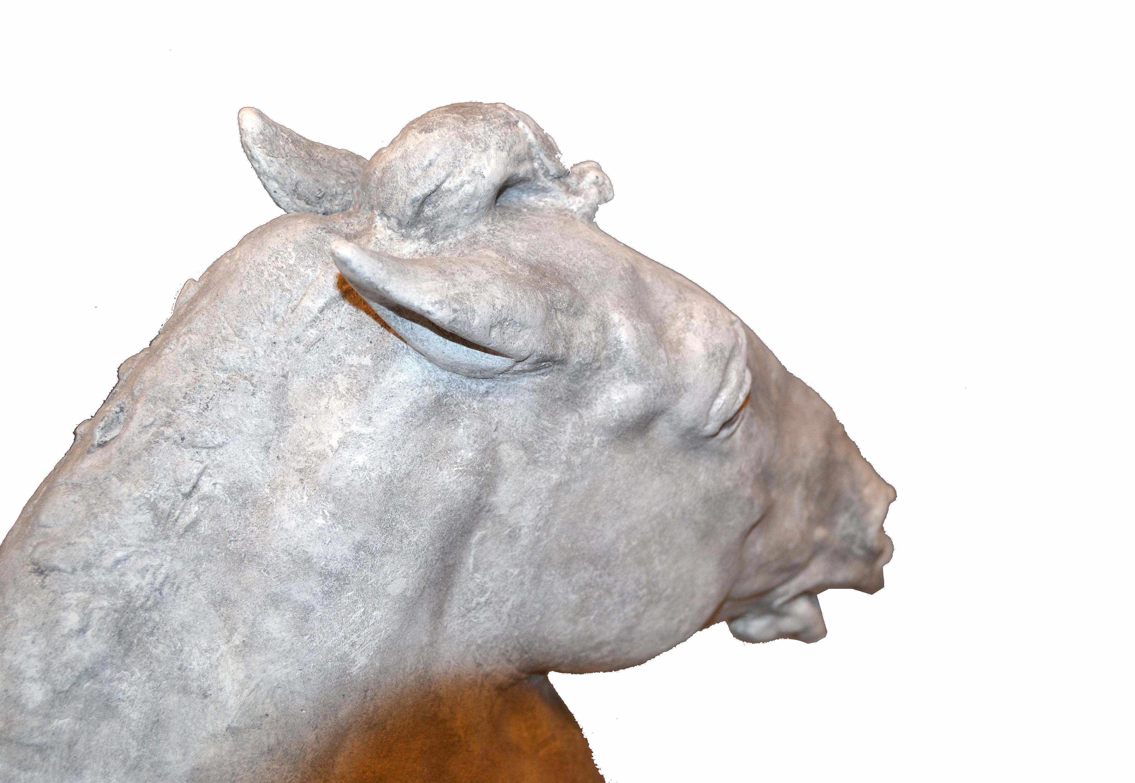 Mid-20th Century Signed Plaster Horse Head Sculpture on Wooden Base, 1961