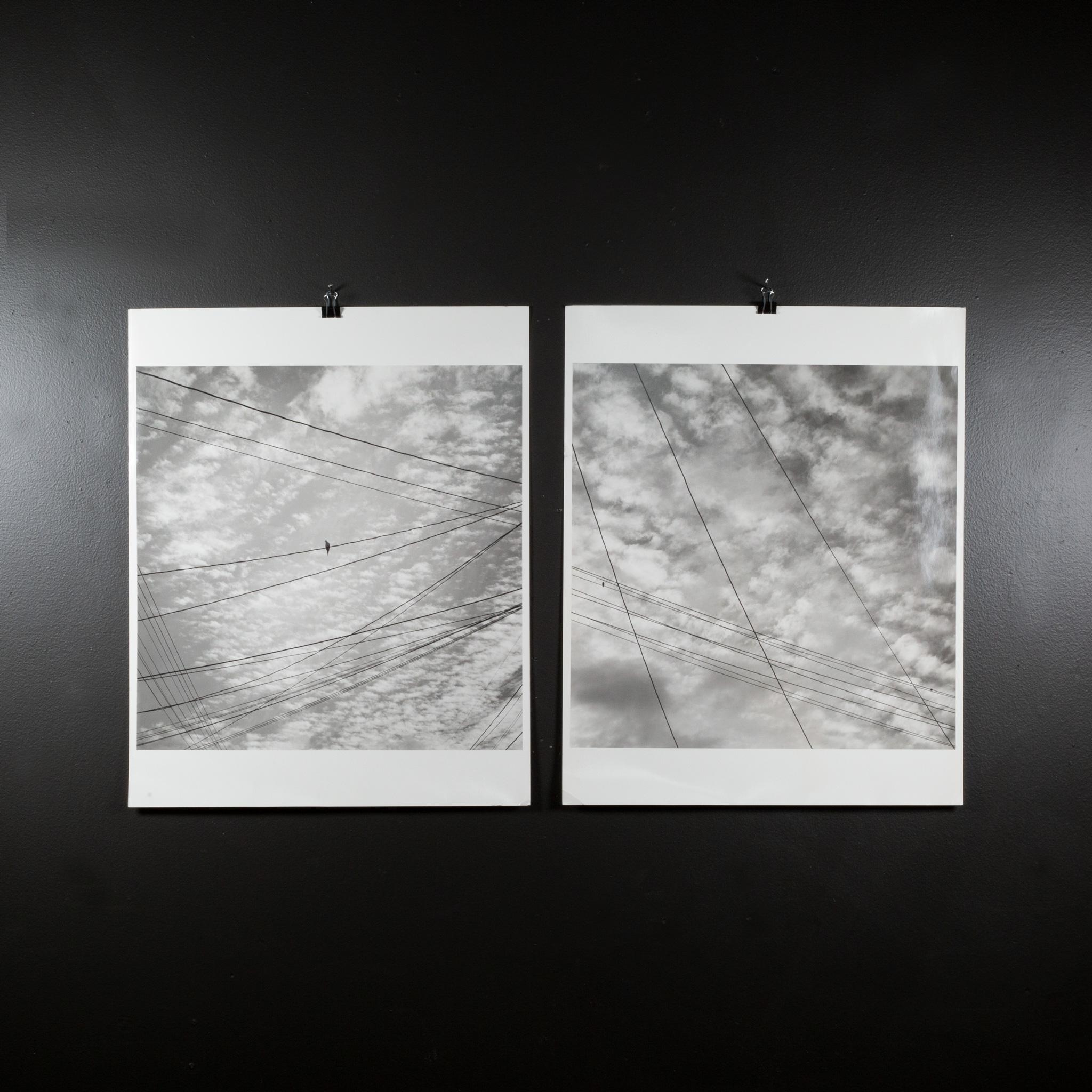 ABOUT

Black and white photographs. Signed WEB #1 San Francisco, CA 2/40 and WEB #2 San Francisco, CA 2/40, 1996.

Sold as a pair only. 

    CREATOR Rick Chapman (American, b. 1966.
    DATE OF MANUFACTURE c.1996.
    MATERIALS AND TECHNIQUES Photo