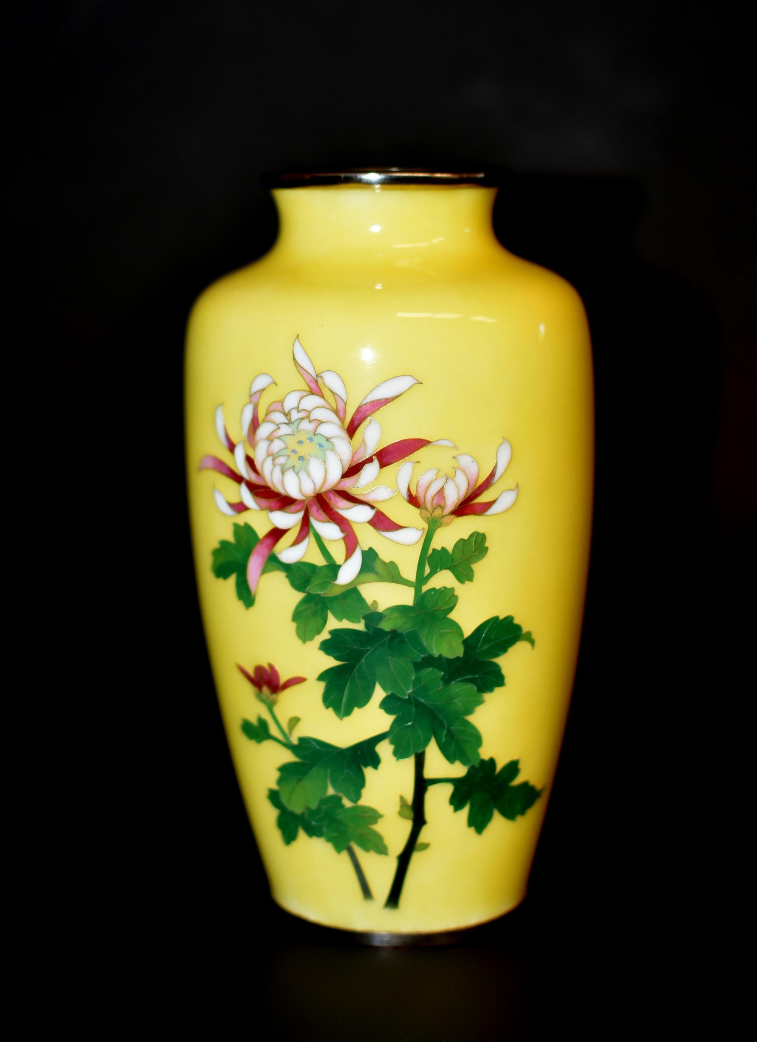 Un raro vaso cloisonné Sato nonginbari, del periodo Showa, realizzato su uno sfondo giallo imperiale Musen-jippo. La forma classica mette in mostra smalti dai colori vivaci che raffigurano un crisantemo sia in piena fioritura che in fase di