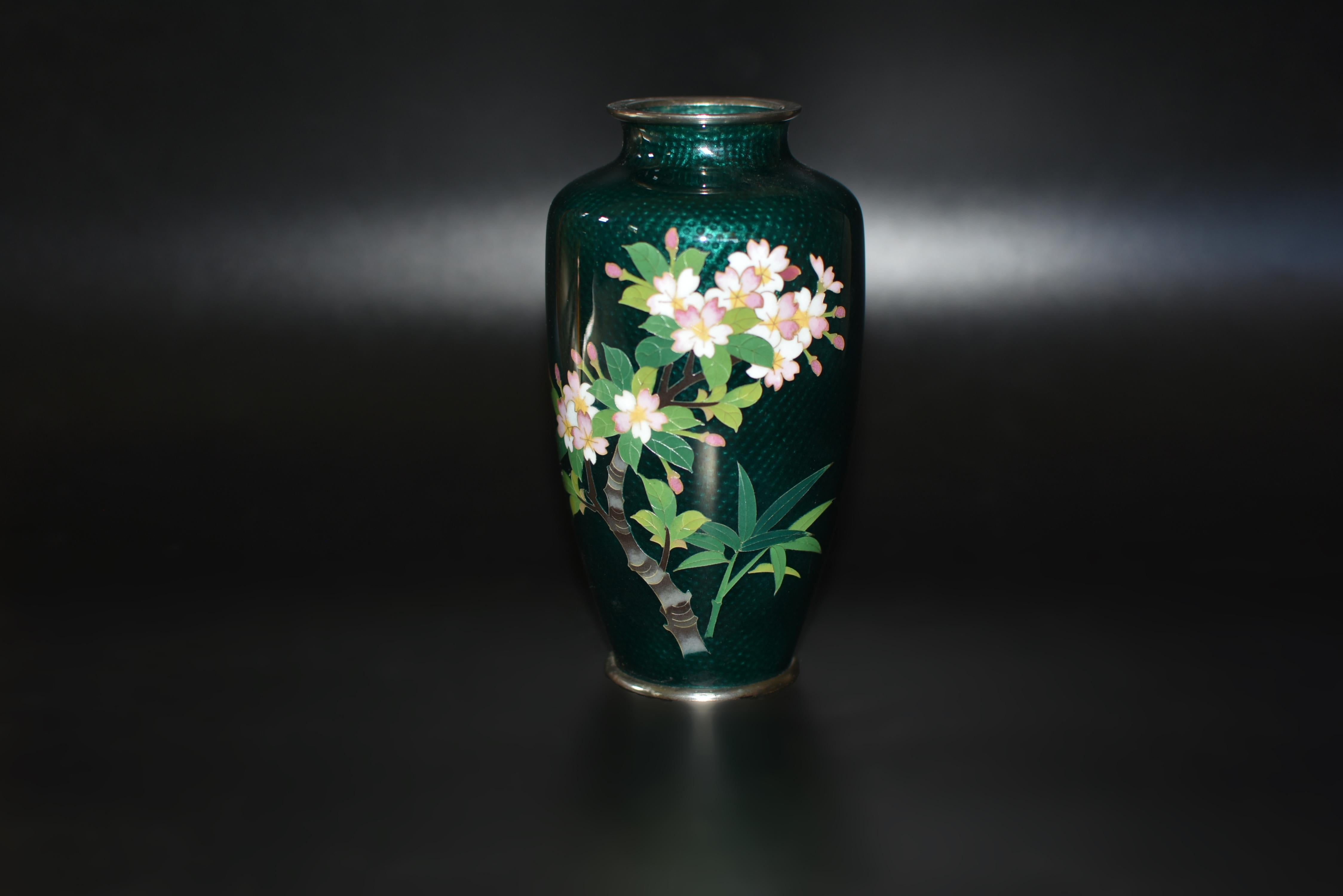 Un bellissimo vaso di cloisonne Sato ginbari. Sul corpo un ramo d'albero con fiori di ciliegio in piena fioritura in mezzo a un fogliame verdeggiante, lavorato in modo minuzioso, su uno sfondo verde smeraldo con foglie di bambù. Il Ginbari è una