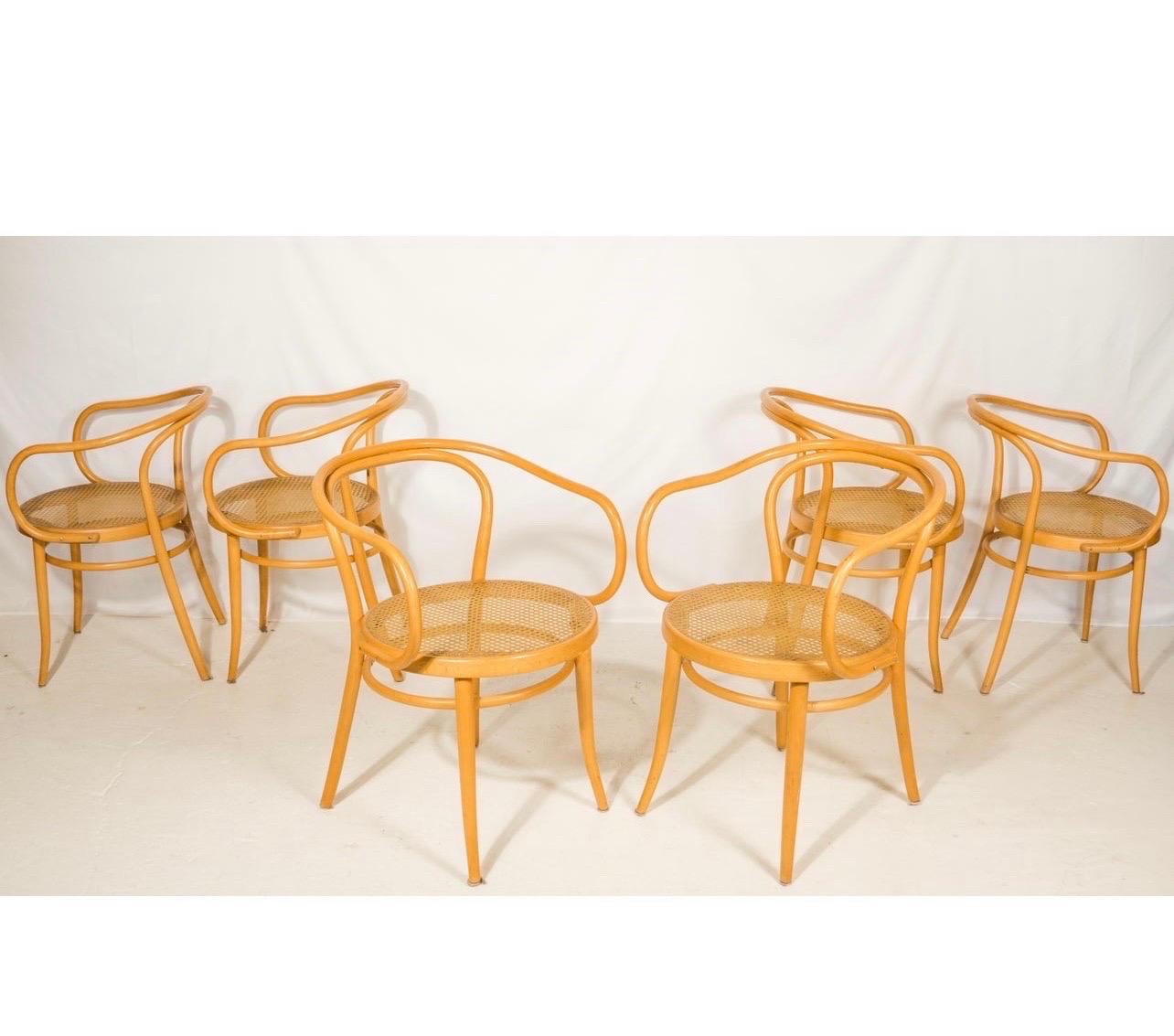 Signed Set of Le Corbusier for Stendig Bentwood & Cane Dining Chairs, 1960s 4