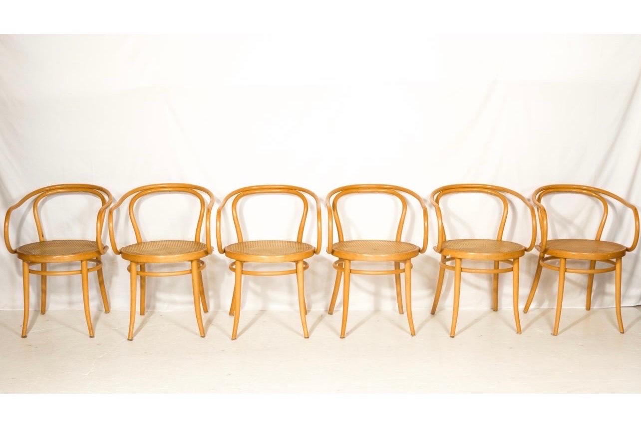 Signed Set of Le Corbusier for Stendig Bentwood & Cane Dining Chairs, 1960s 3