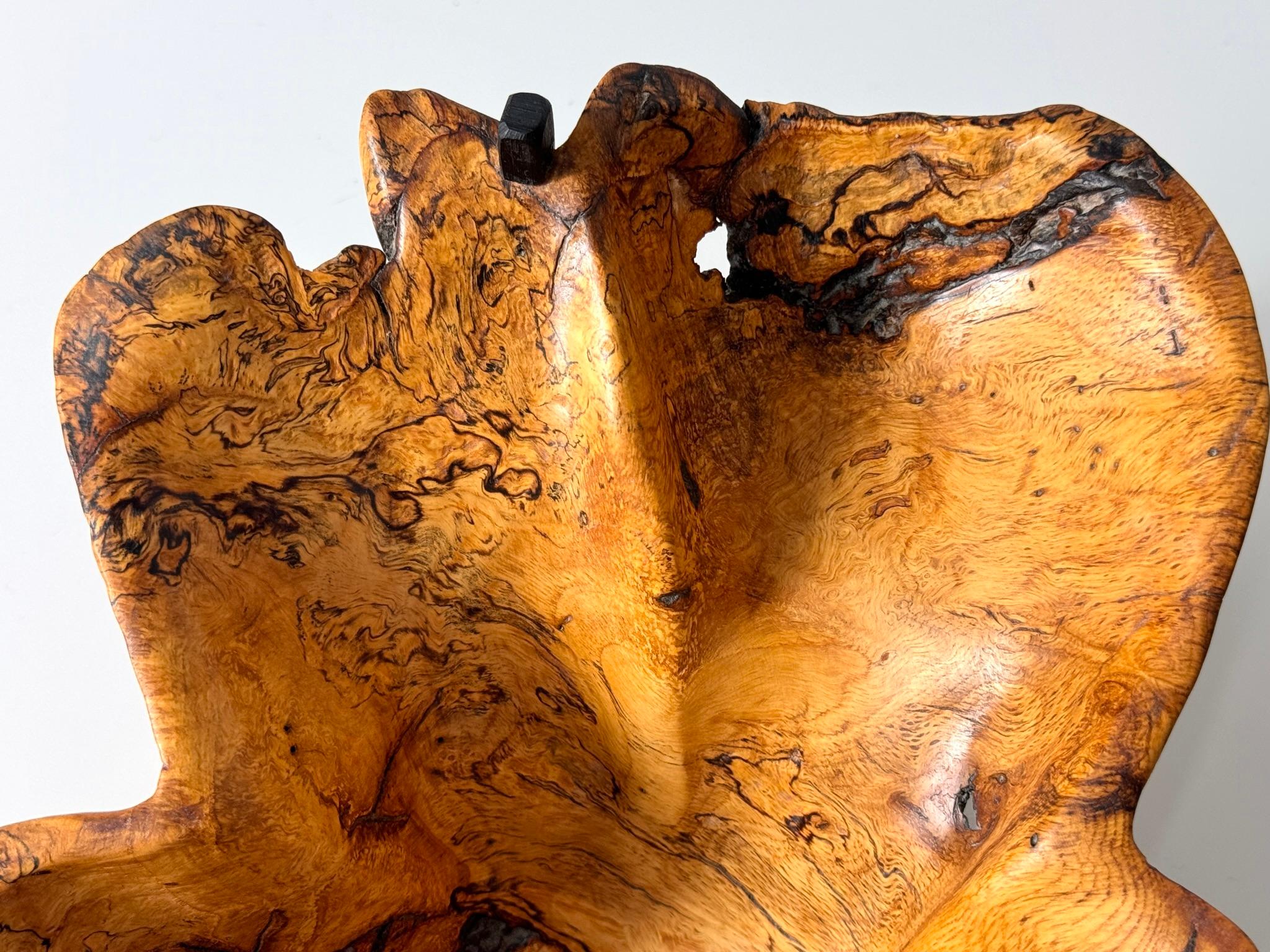 Scultura di centrotavola a forma libera in radica di Studio A firmata in vendita 2