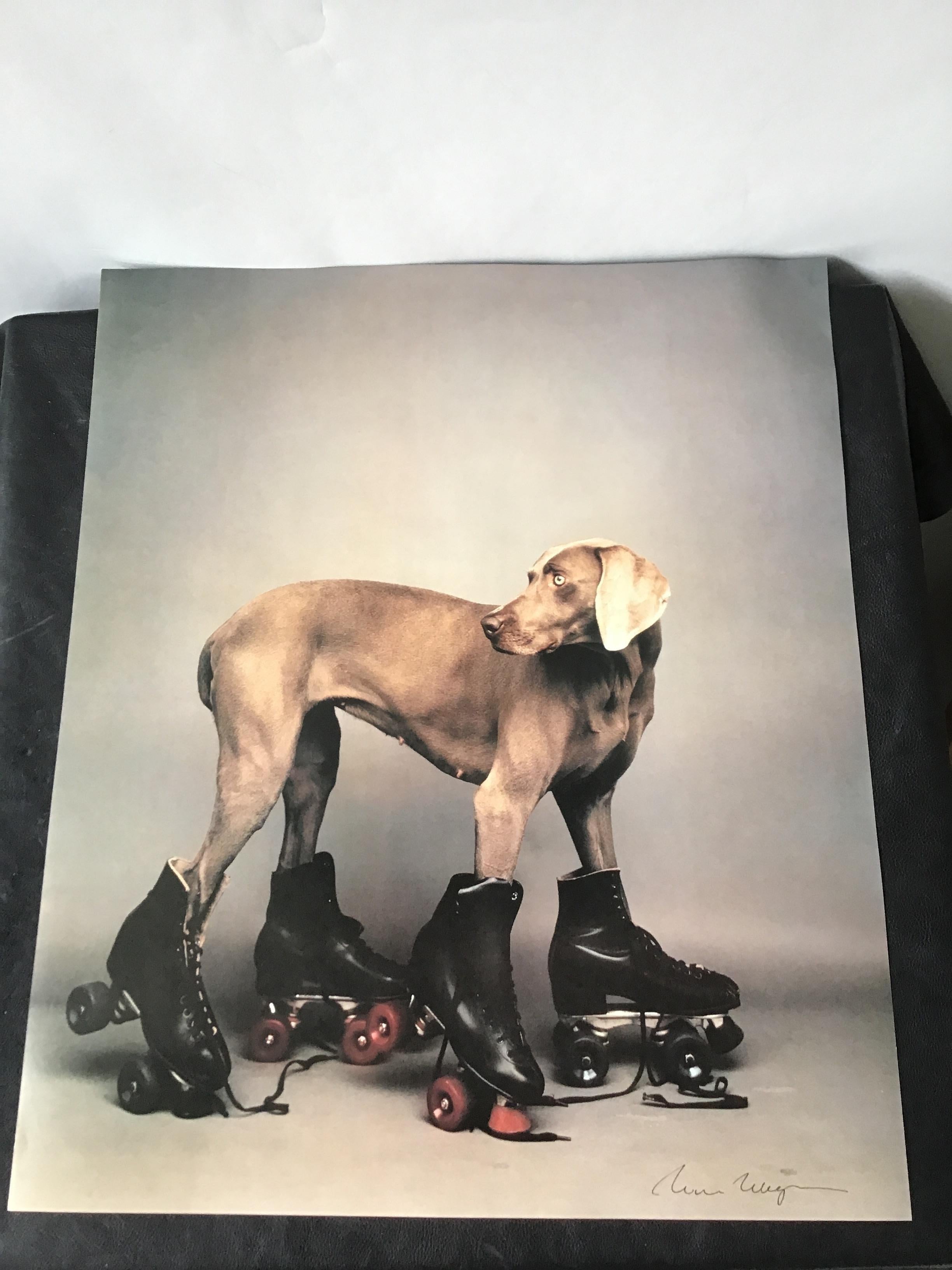 Signed William Wegman Roller Rover color print. 20 x 24. From the NYC Saks Fifth Ave department store. This was part of an art exhibit they had years ago.
There where  2 prints available. One print was sold, so there is no box available.