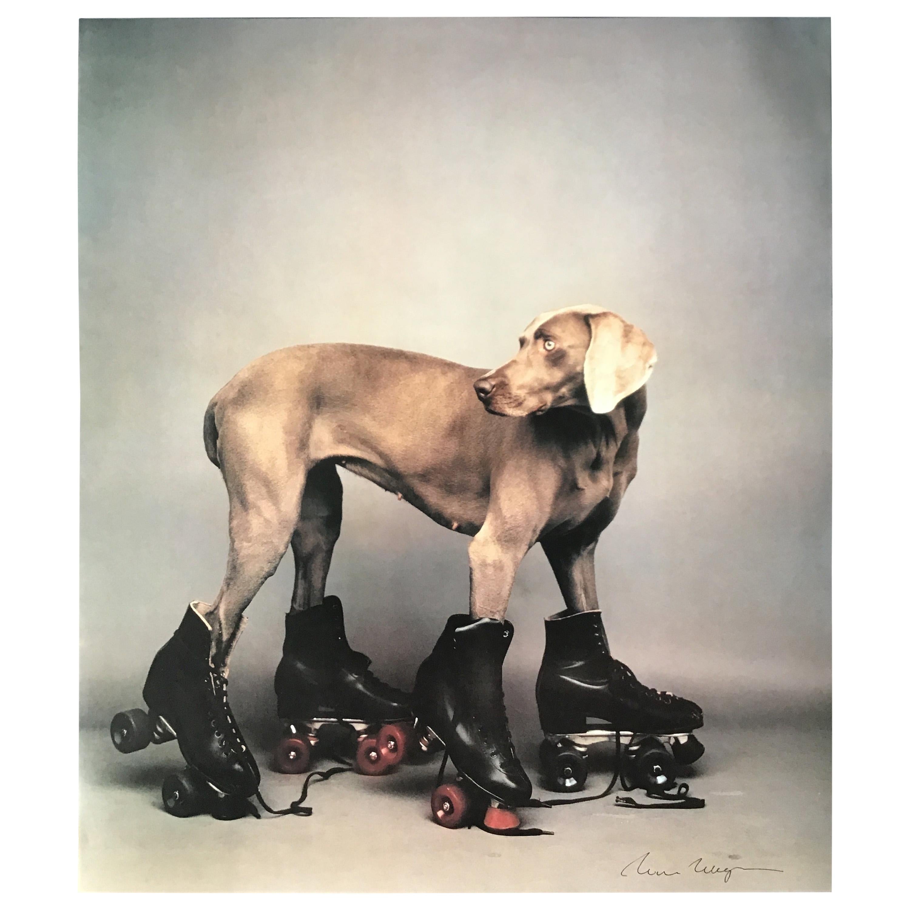 Signed William Wegman Roller Rover Color Print For Sale at 1stDibs | rover  roller