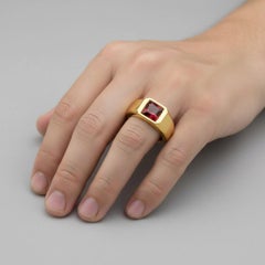 Siegelring mit Granat für Männer Silber, Gold