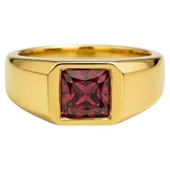 Siegelring mit Granat für Männer Silber, Gold