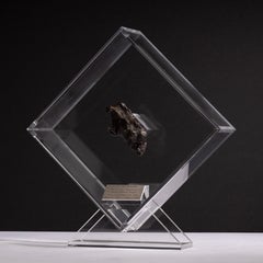 Sikhote Alin Meteorite de Sibérie, Russie, présentée dans une exposition en acrylique personnalisée