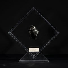 Meteorite Sikhote Alin dalla Siberia, Russia, in un espositore acrilico personalizzato
